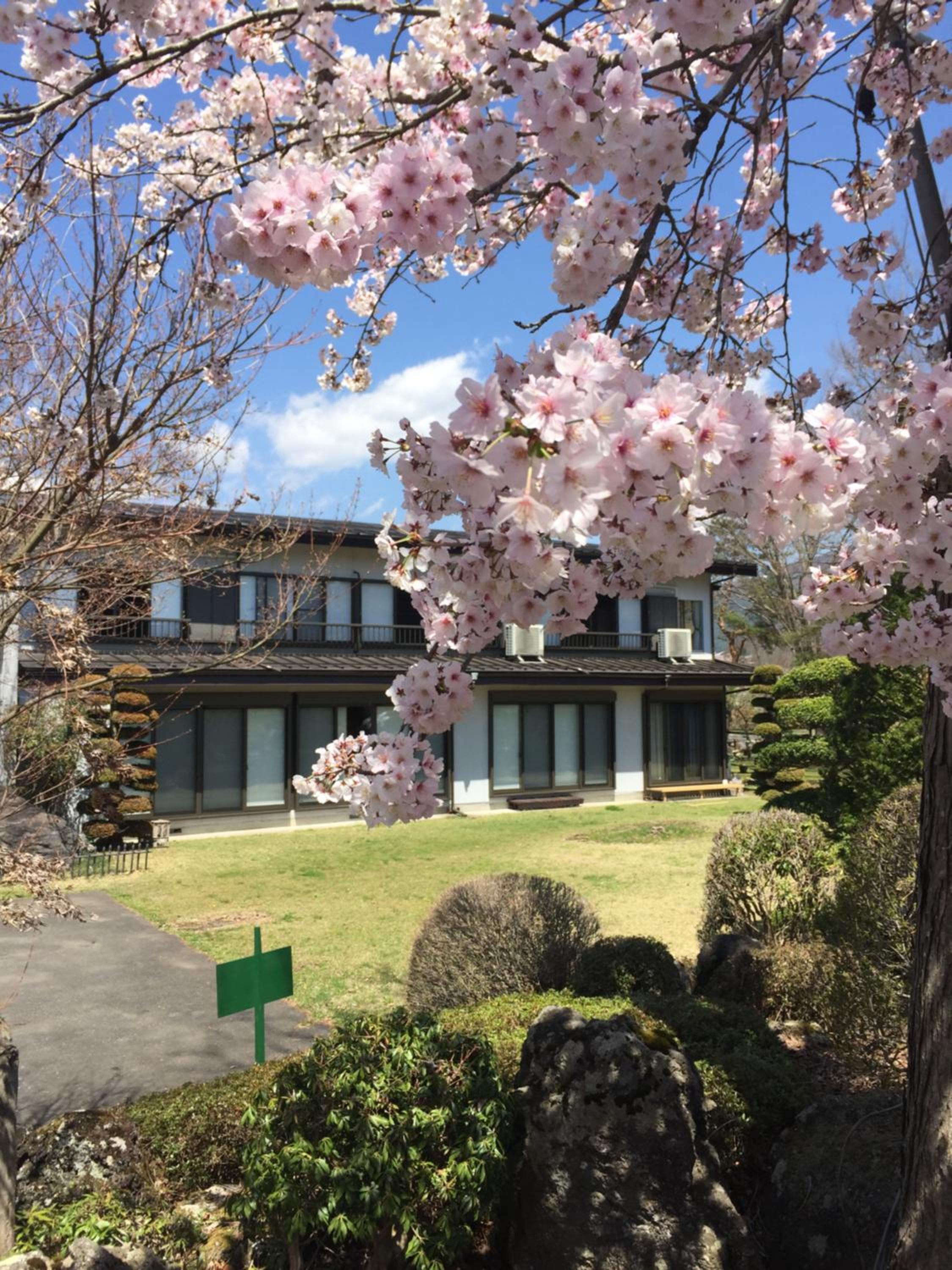 Togawaso