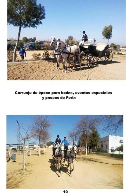 Cortijo Santa Clara