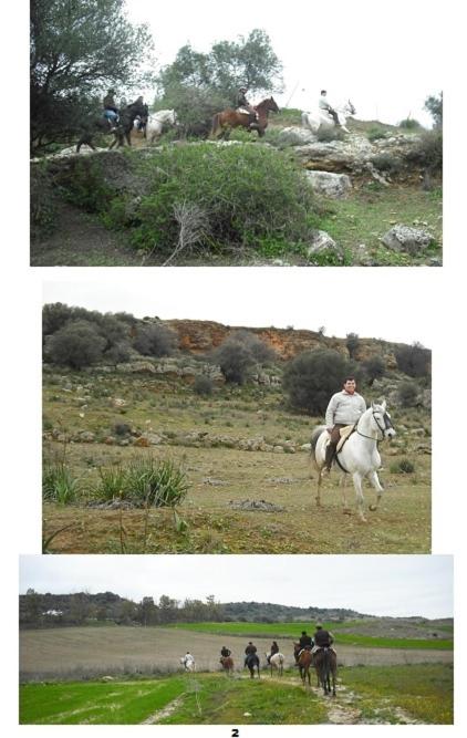 Cortijo Santa Clara