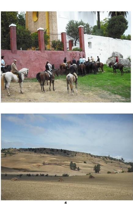 Cortijo Santa Clara