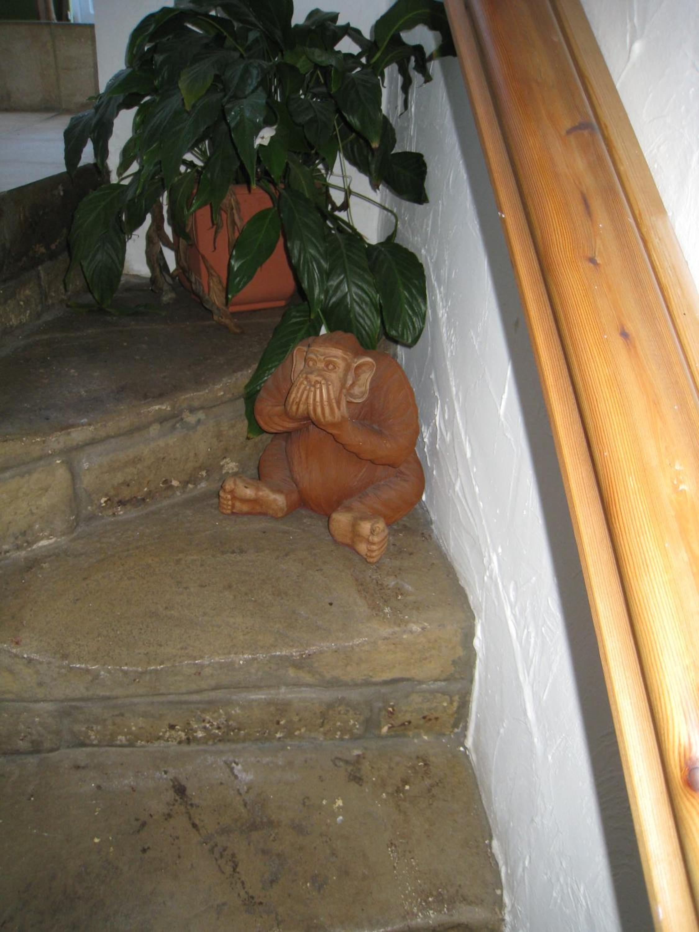 Rosebud Cottage Guest House