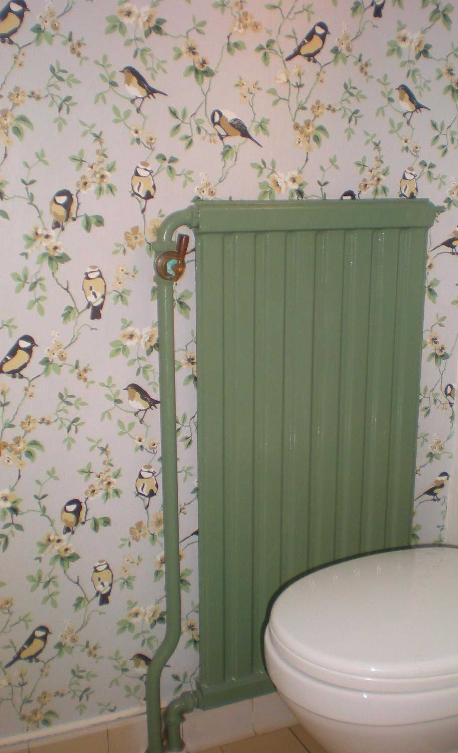 Photo 50