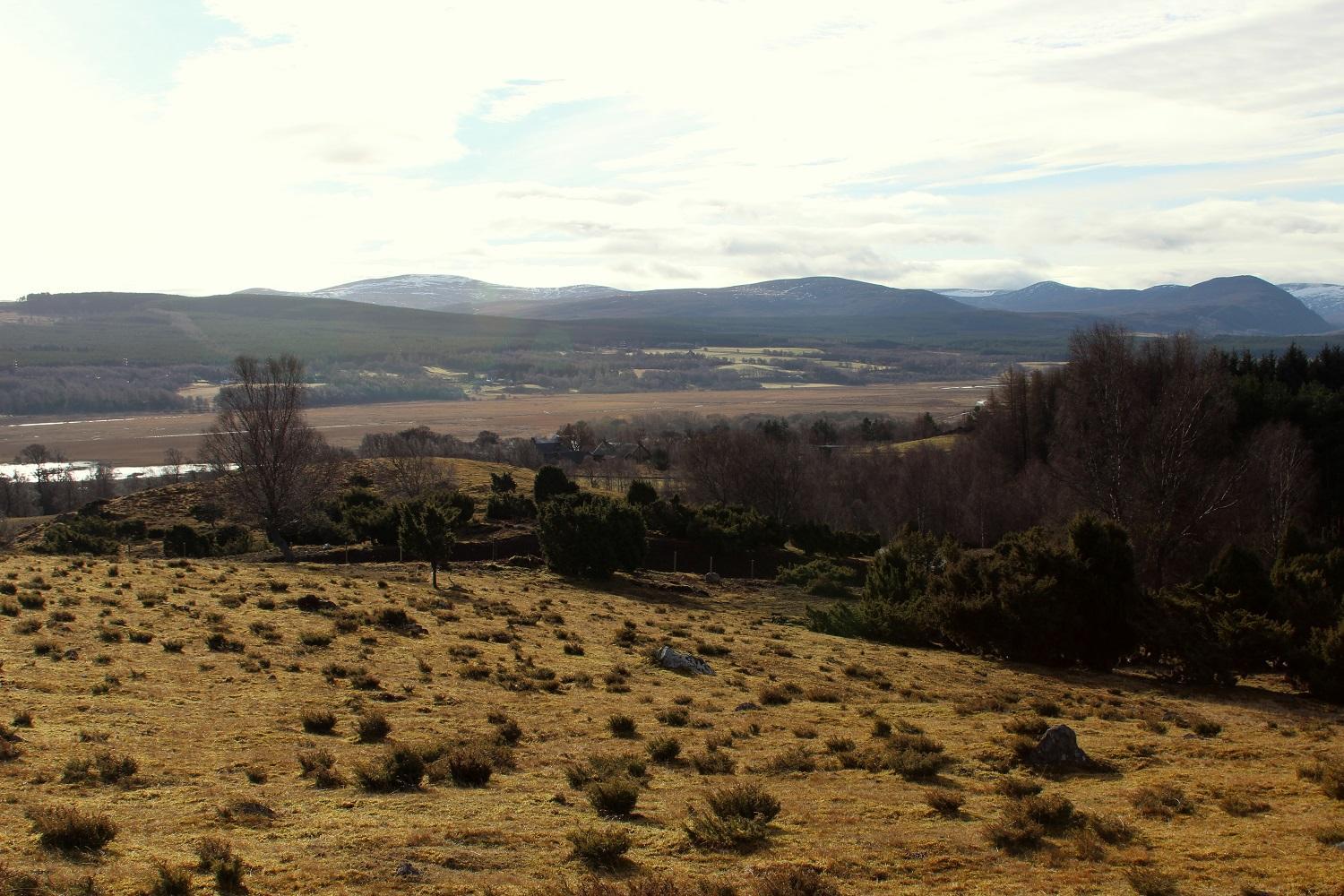 Shetland Cottage Kincraig