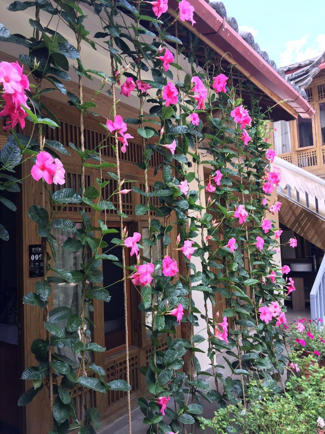 Lijiang Old Town Meiliju View Inn
