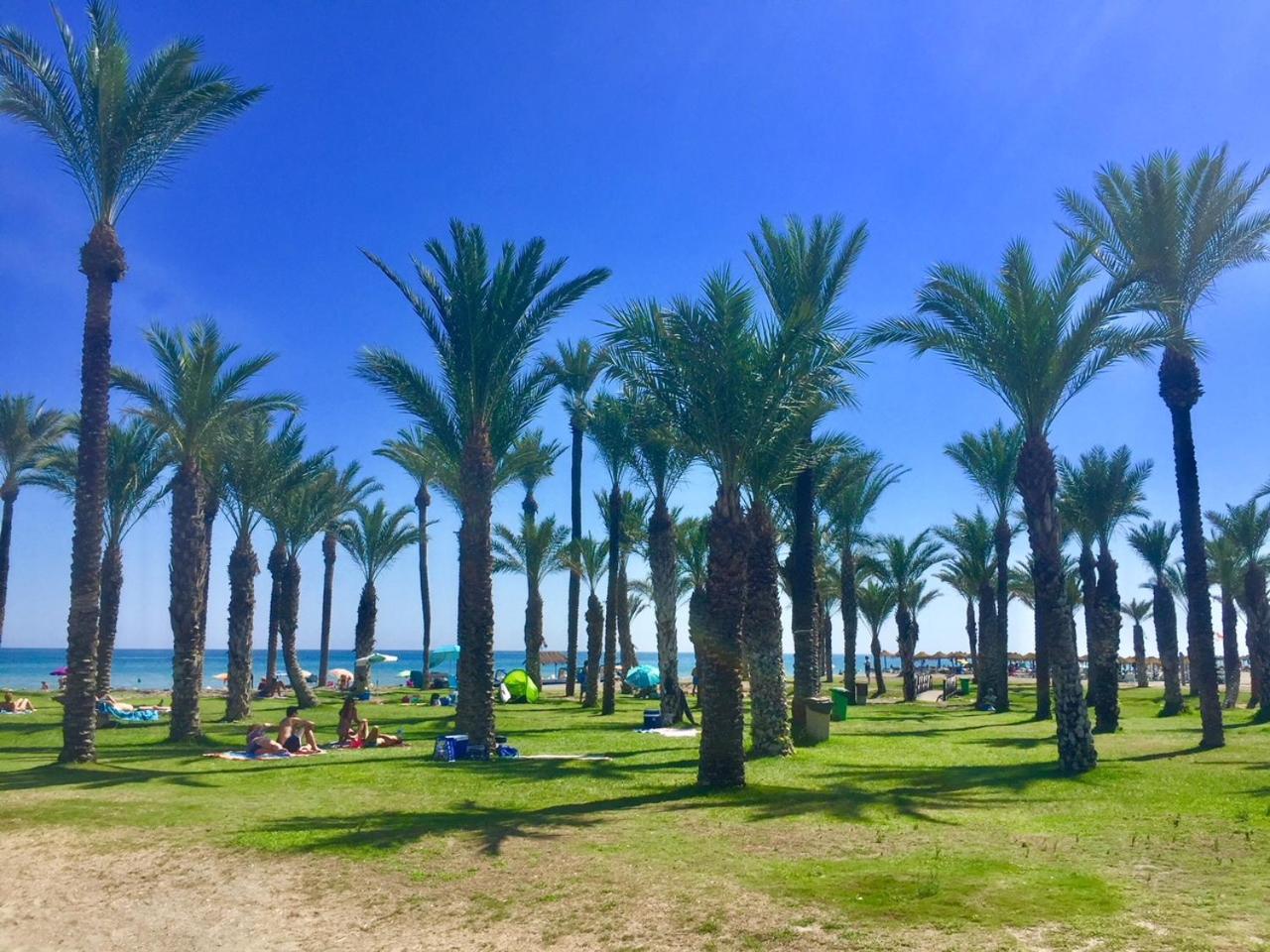 Living4malaga Malaga Serenity