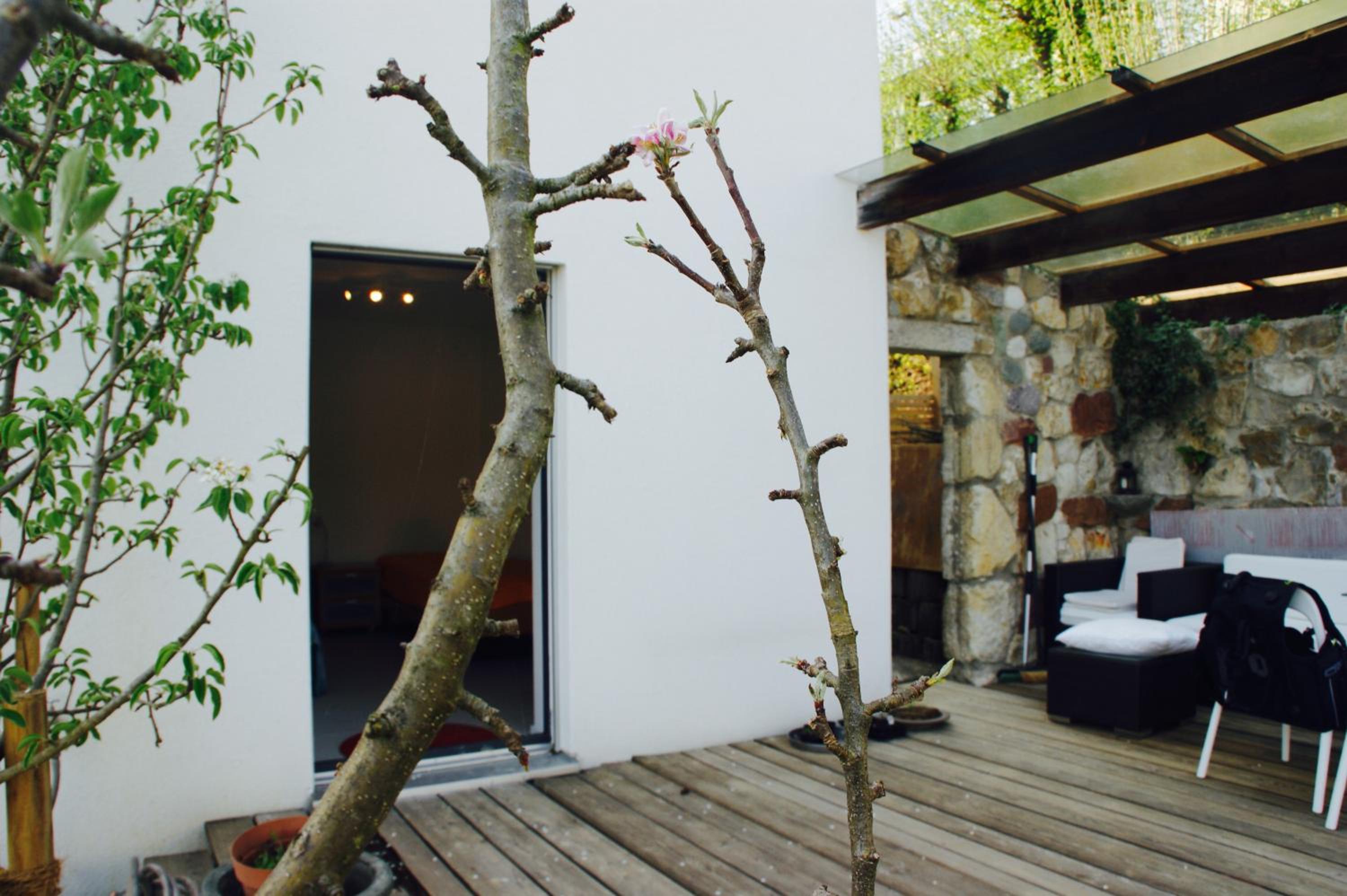 N1 Standalone House Baden