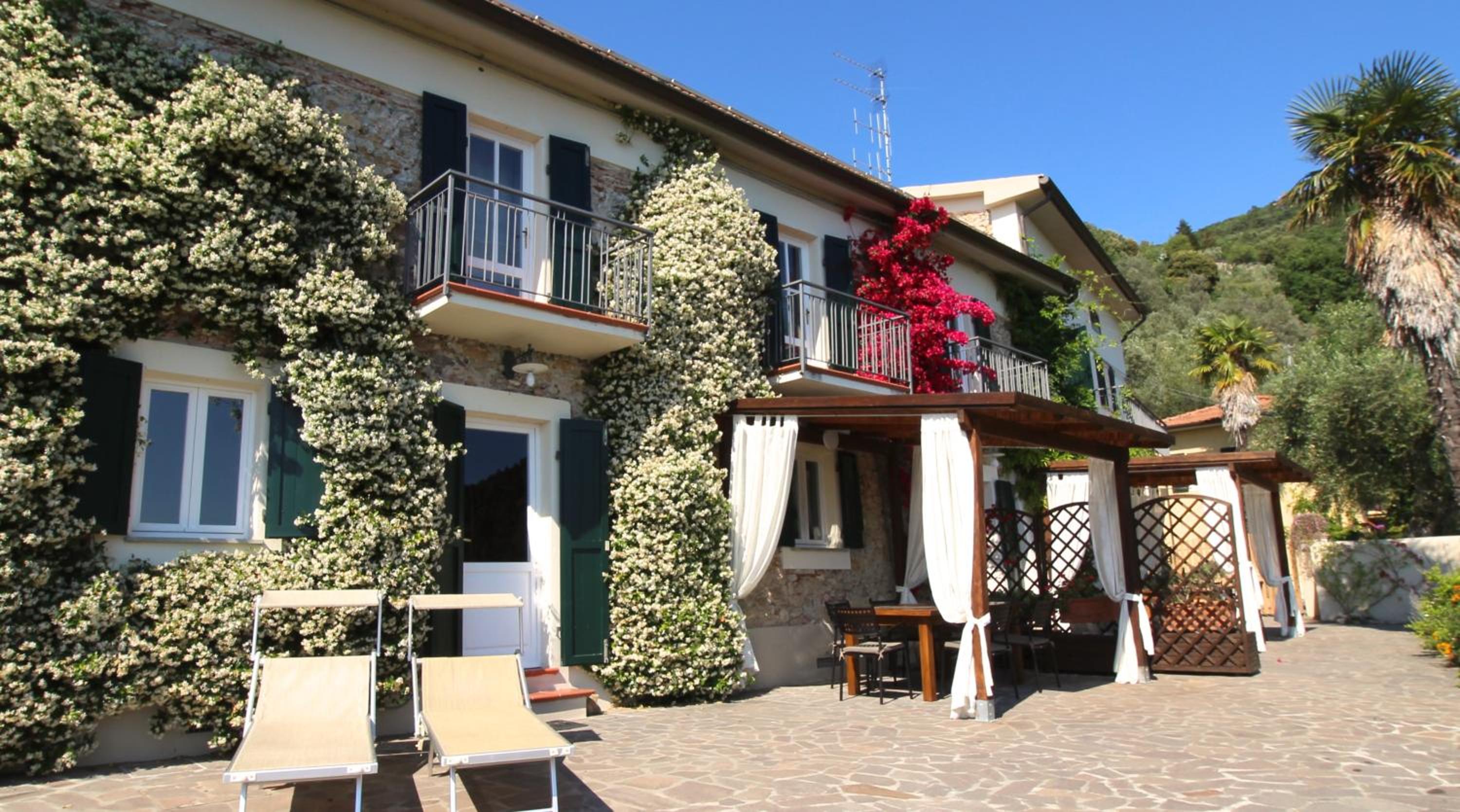 La Lucertola