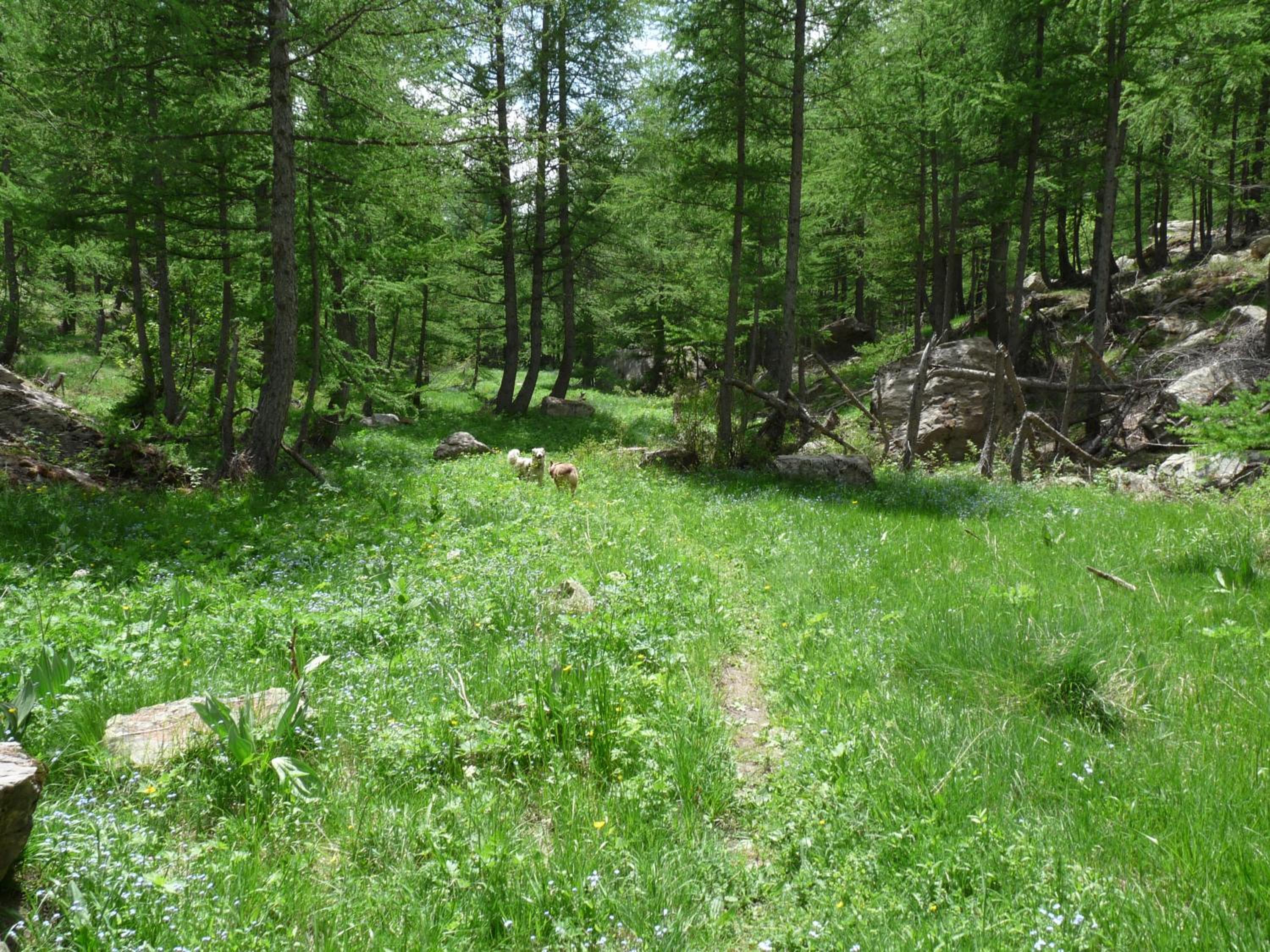 Photo 15