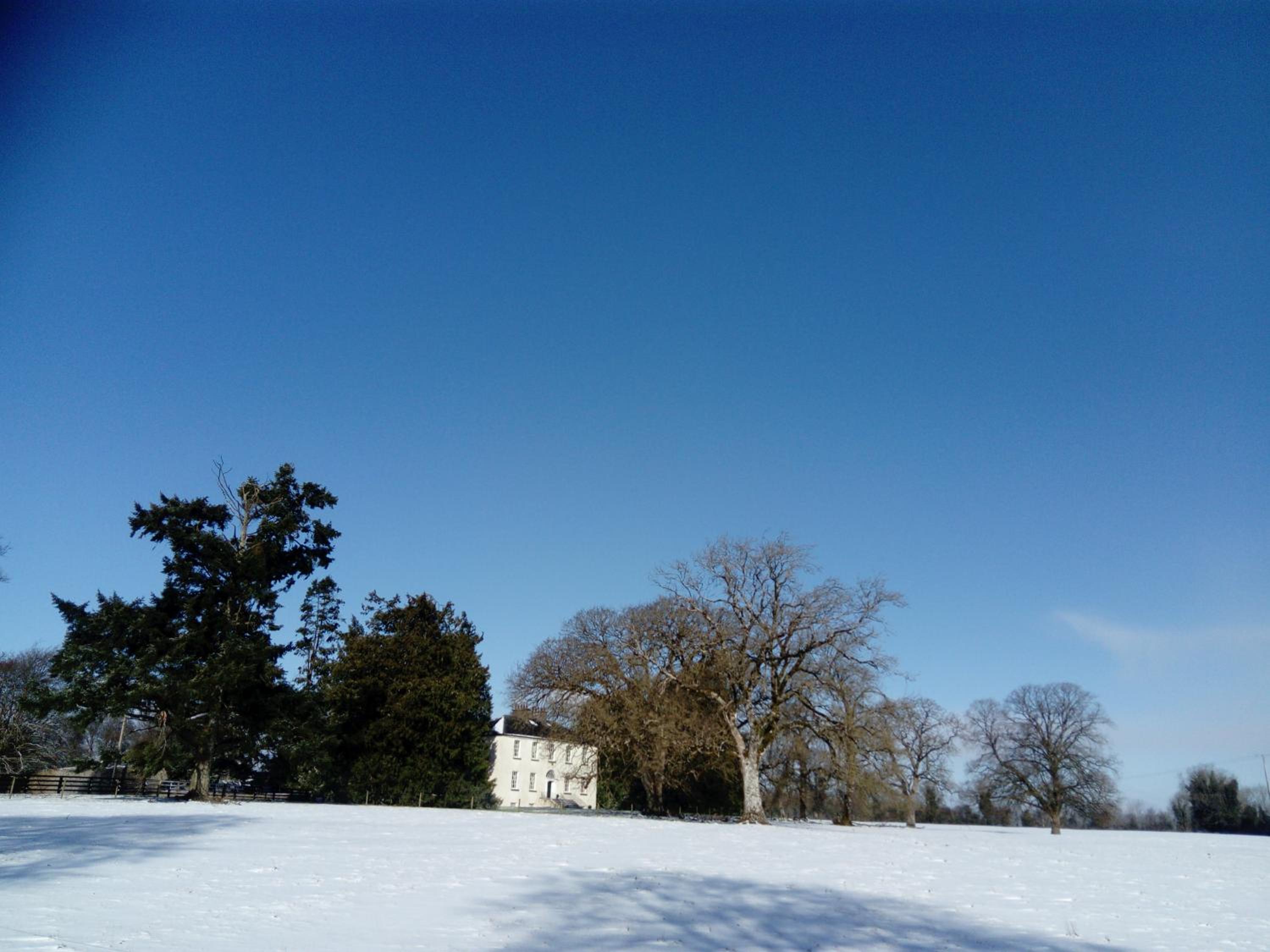 Augherea House view 5