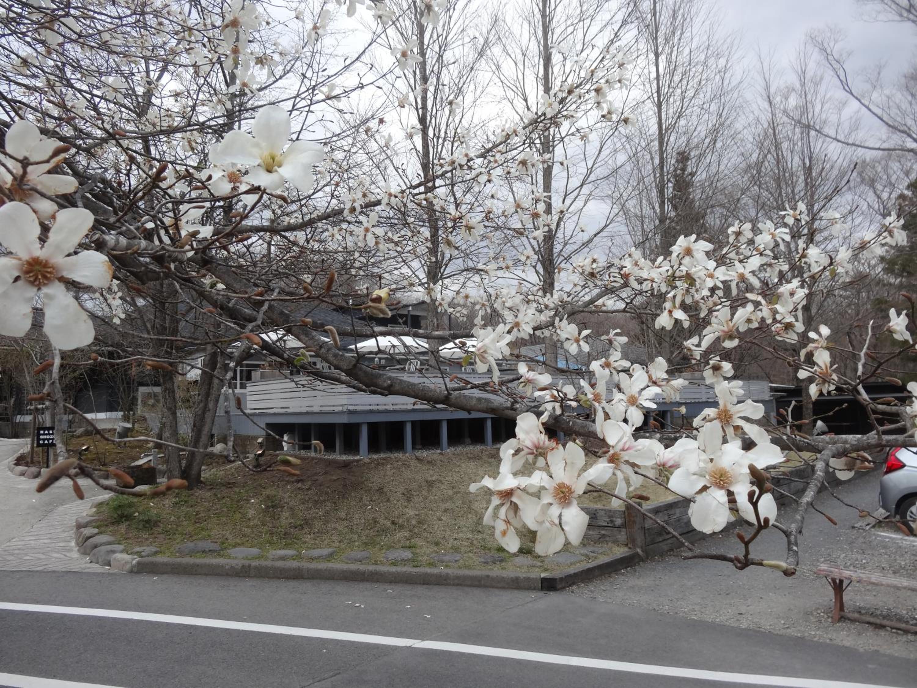 Gasthof Arutany