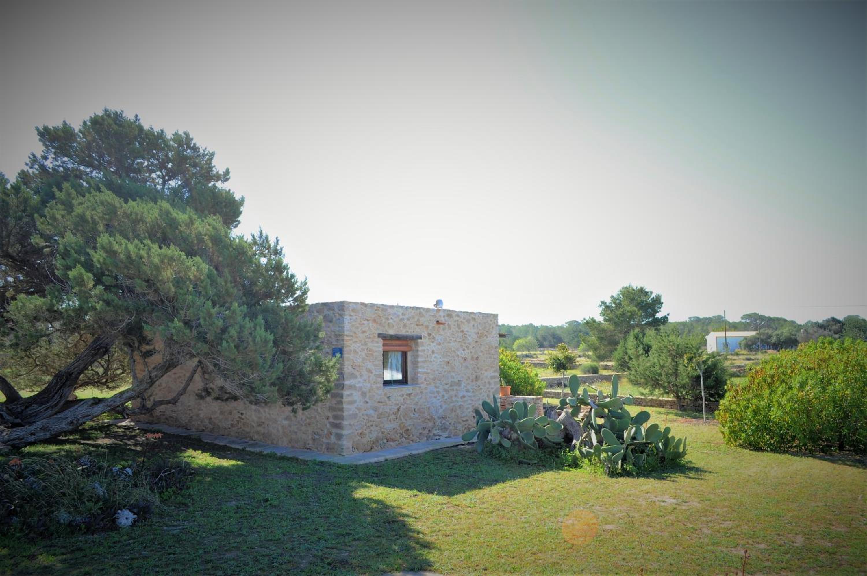 Siamoformentera Bella