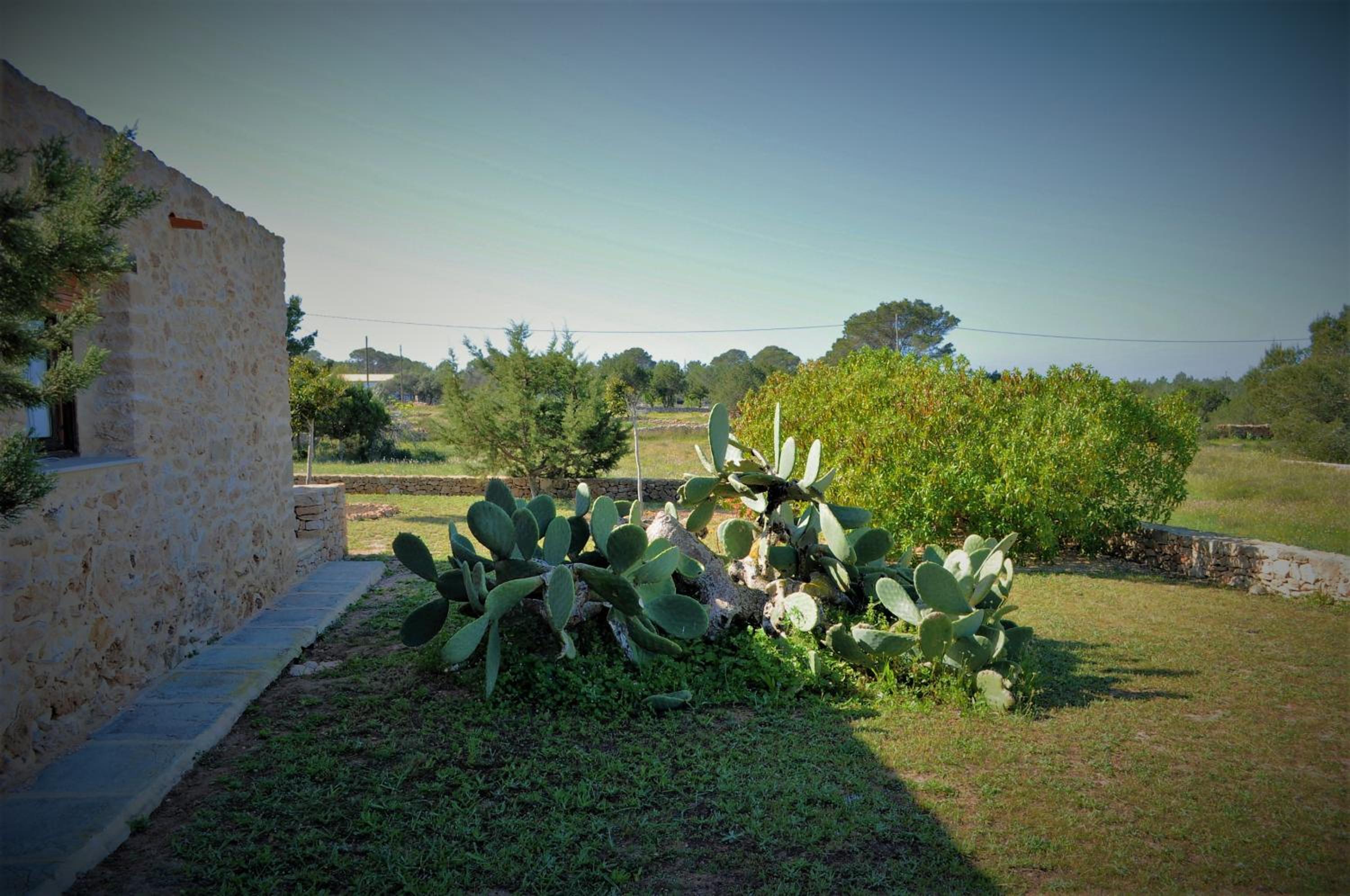 Siamoformentera Bella