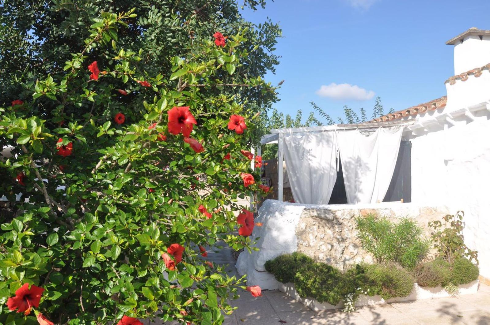 Turismo Rural Biniati des Pi