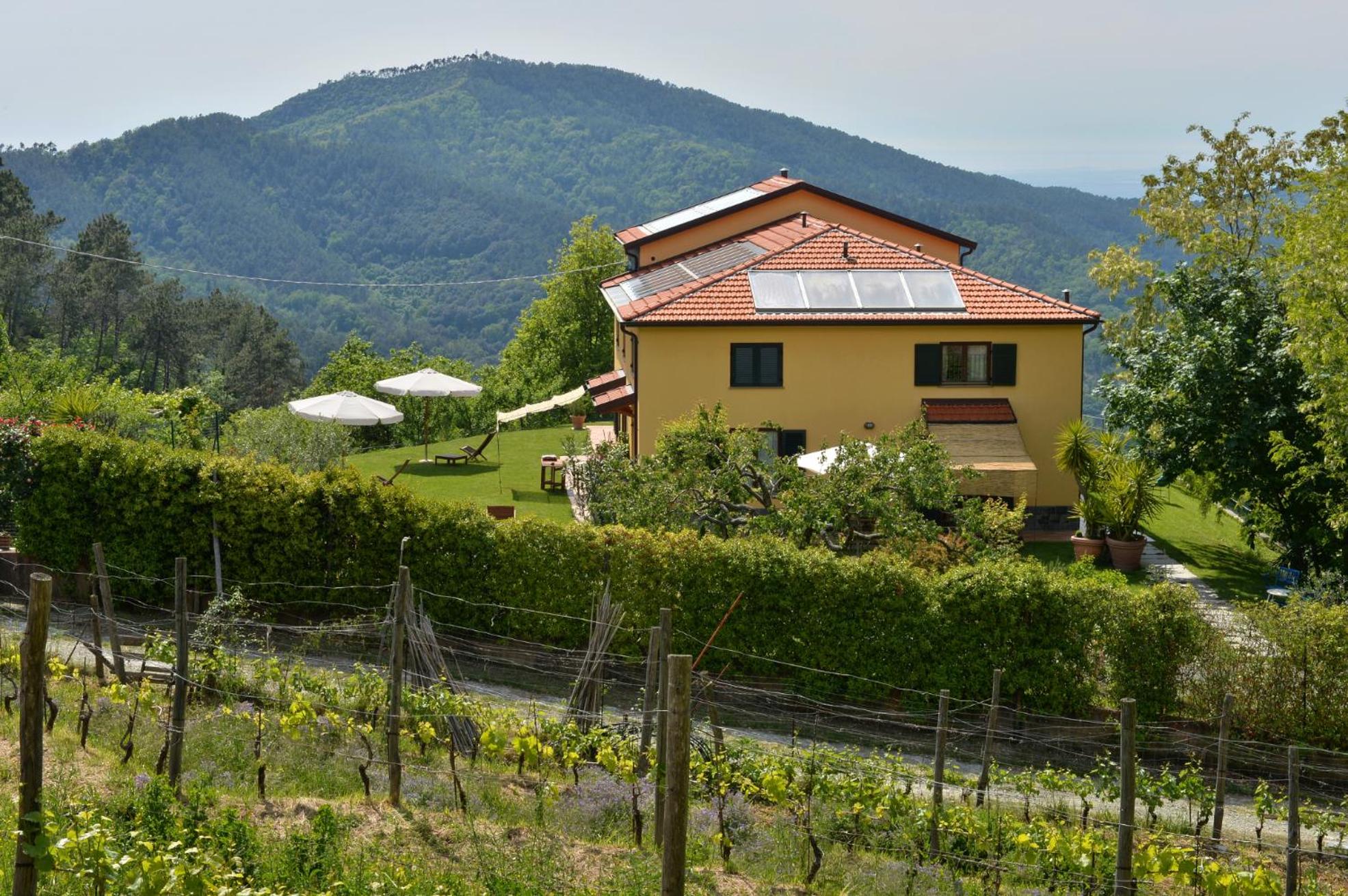 Il Laghello di Amina - Property Image 30