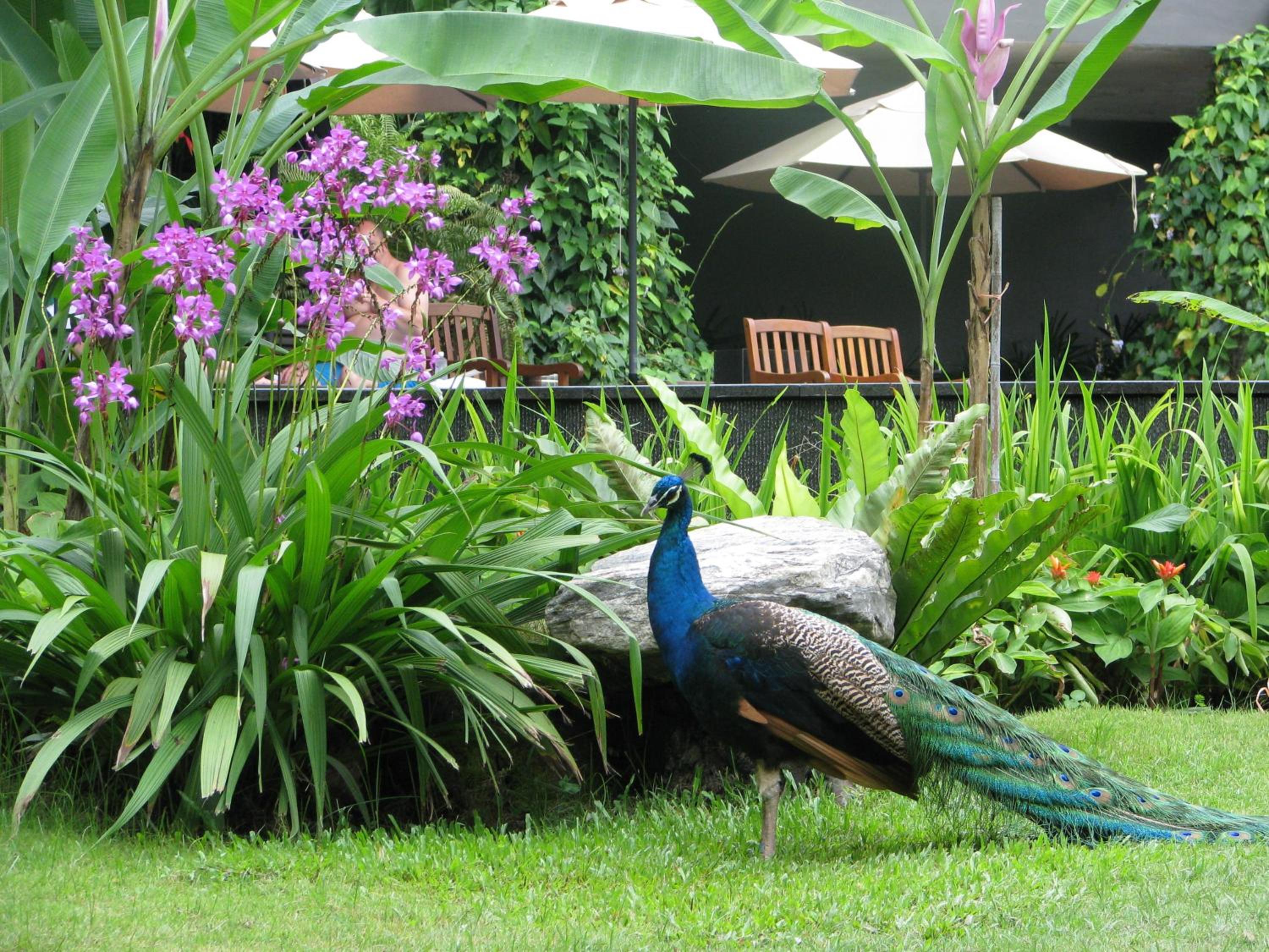 Siloso Beach Resort - Sentosa