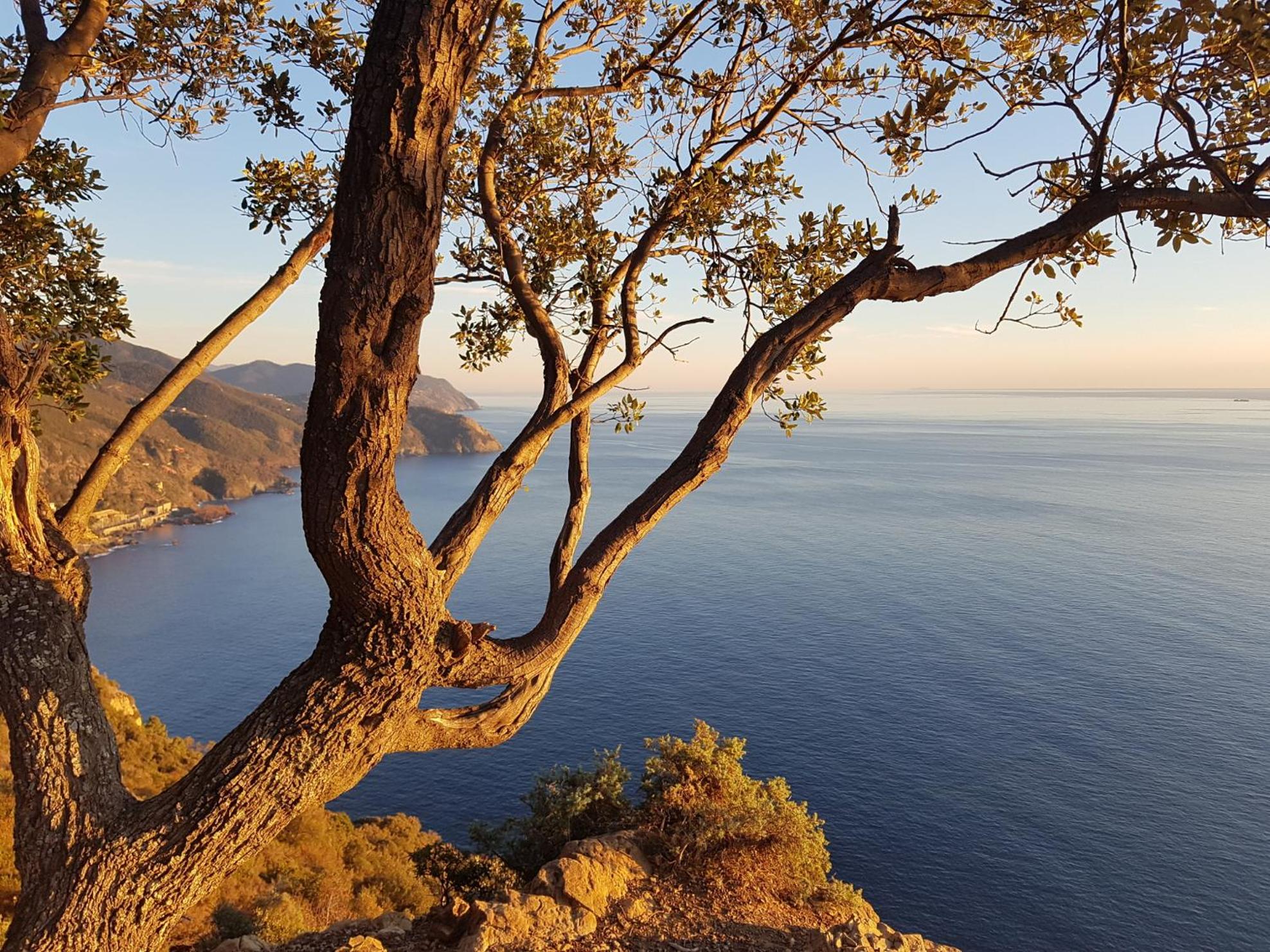 Il Laghello di Amina - Property Image 23