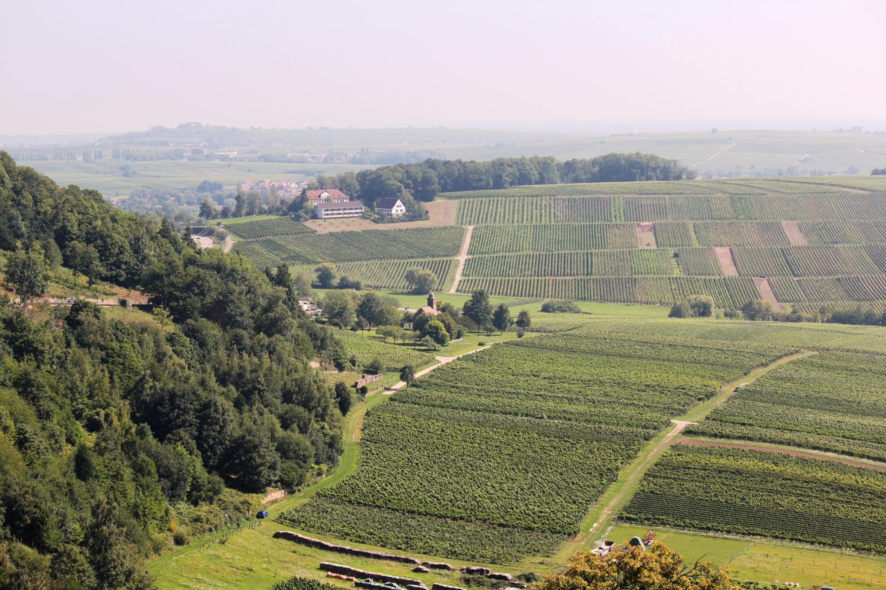 Ferienwohnungen Eichenhof