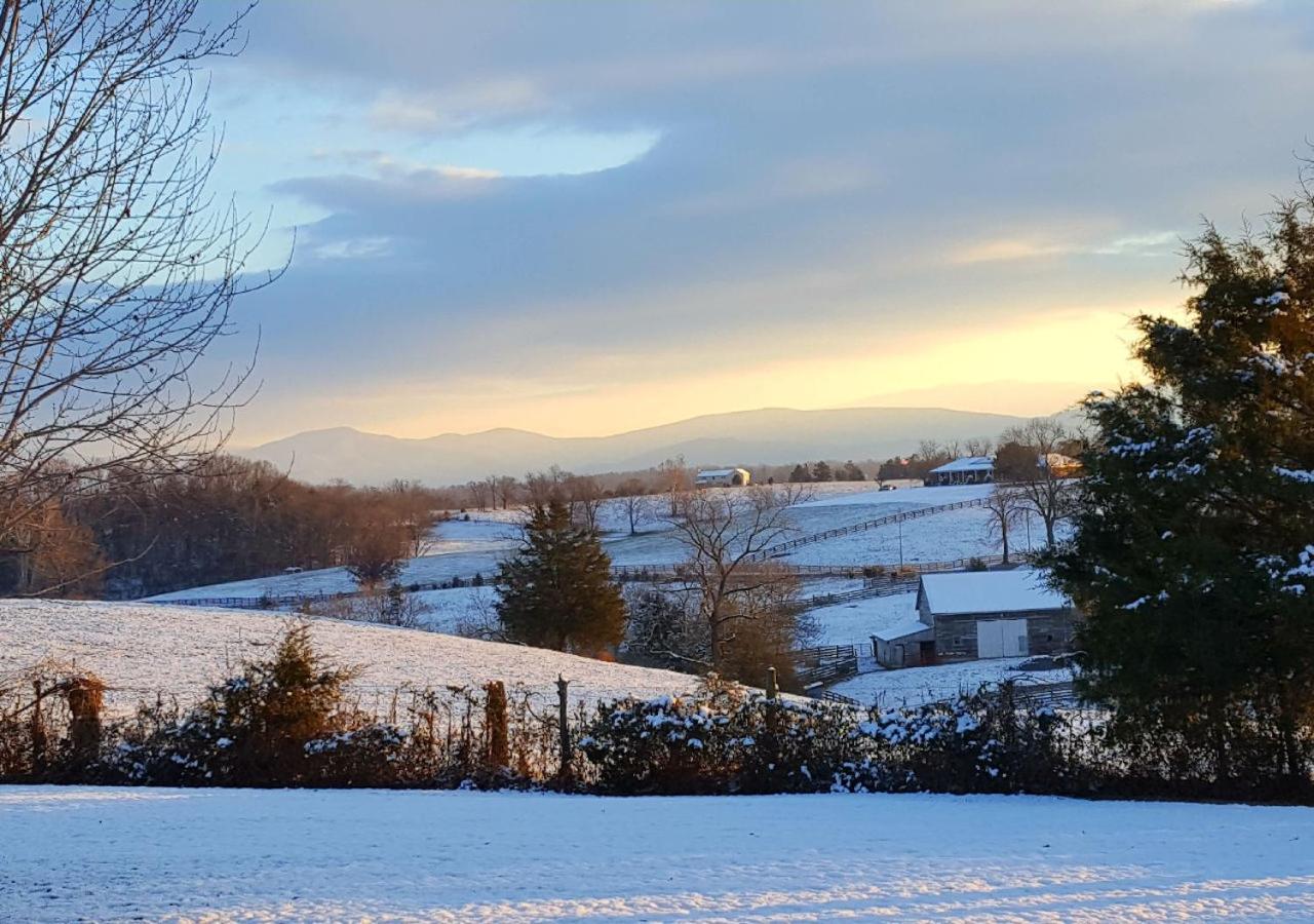 Piney Hill B&B and Cottages