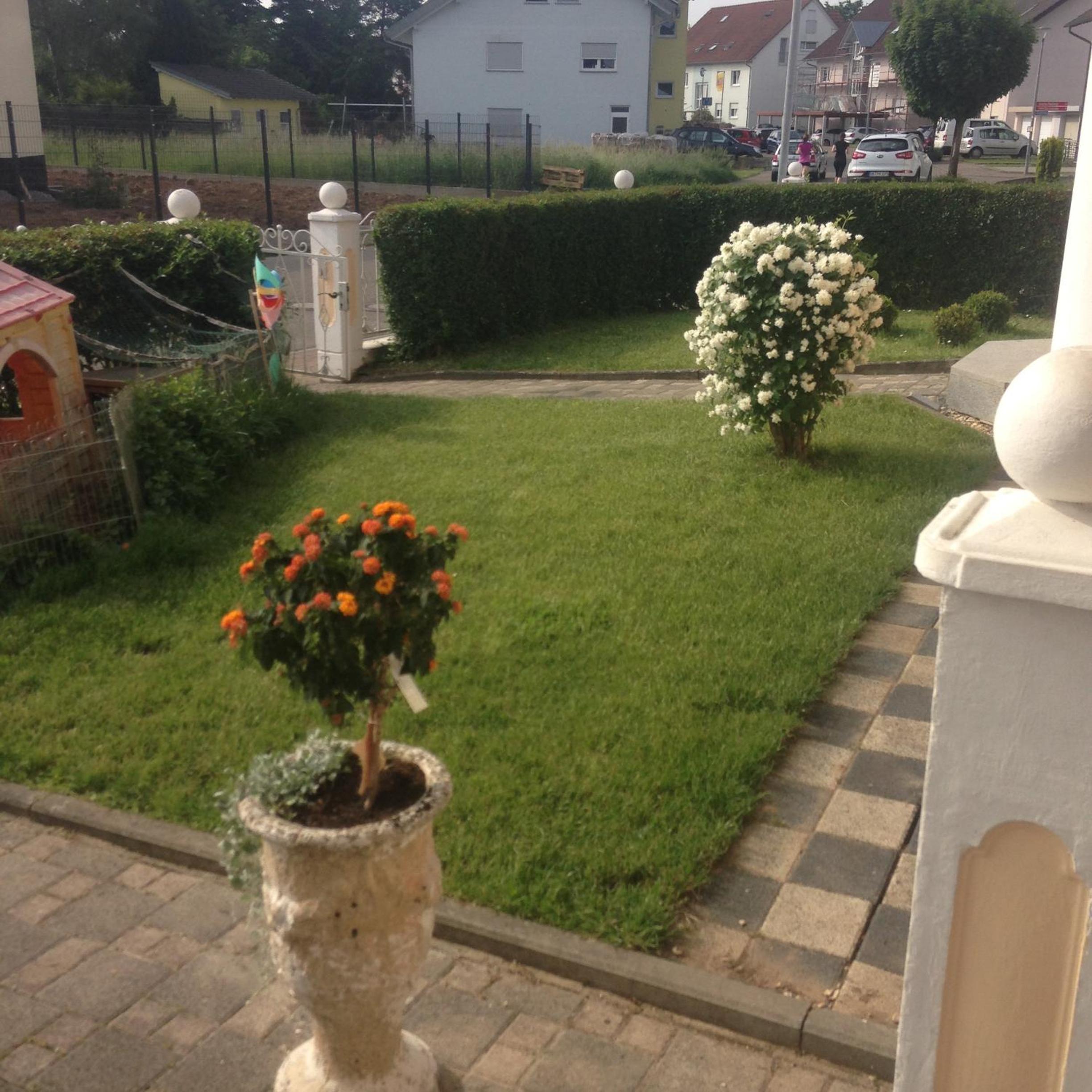 Photo 37