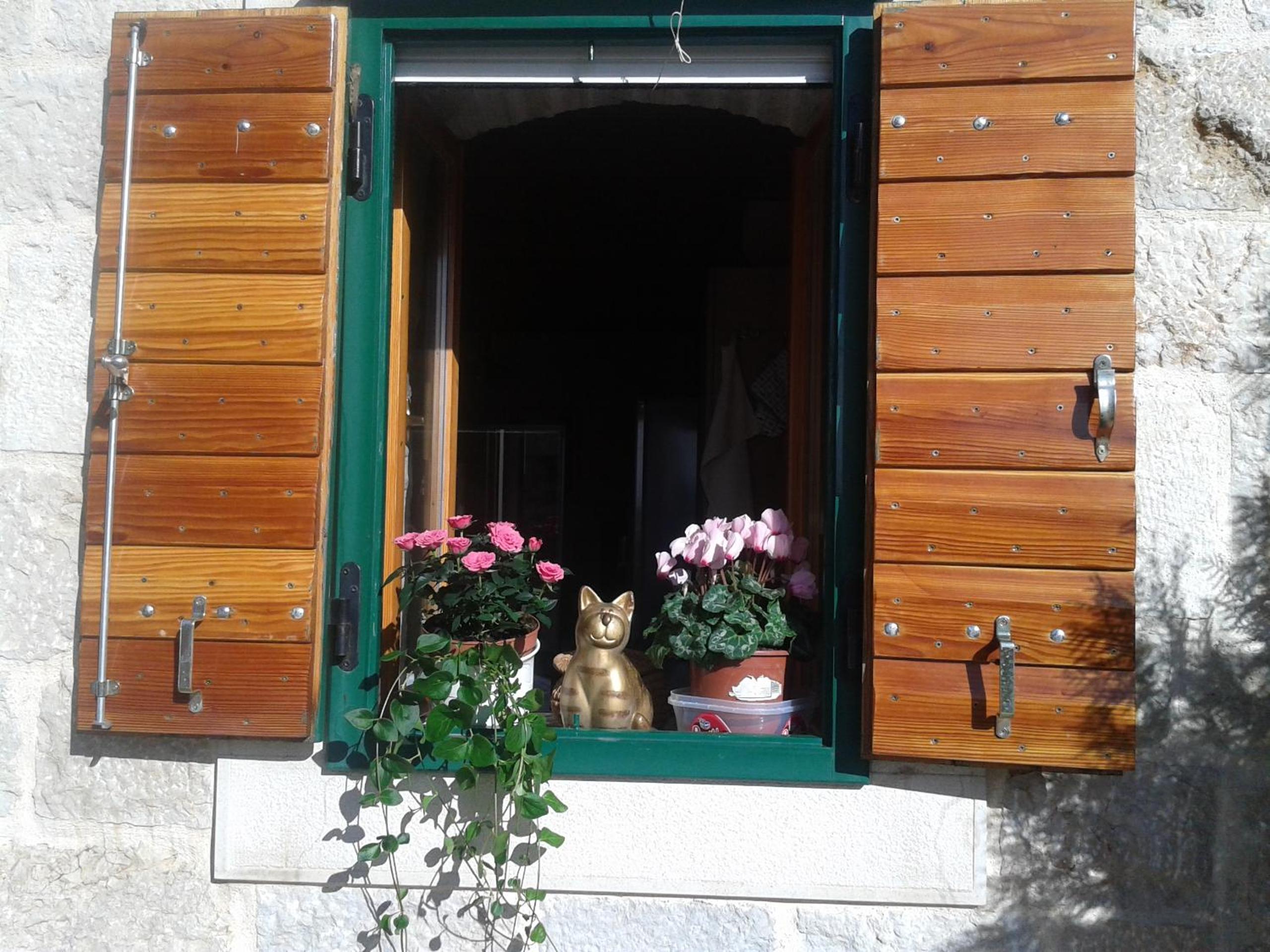Photo 29