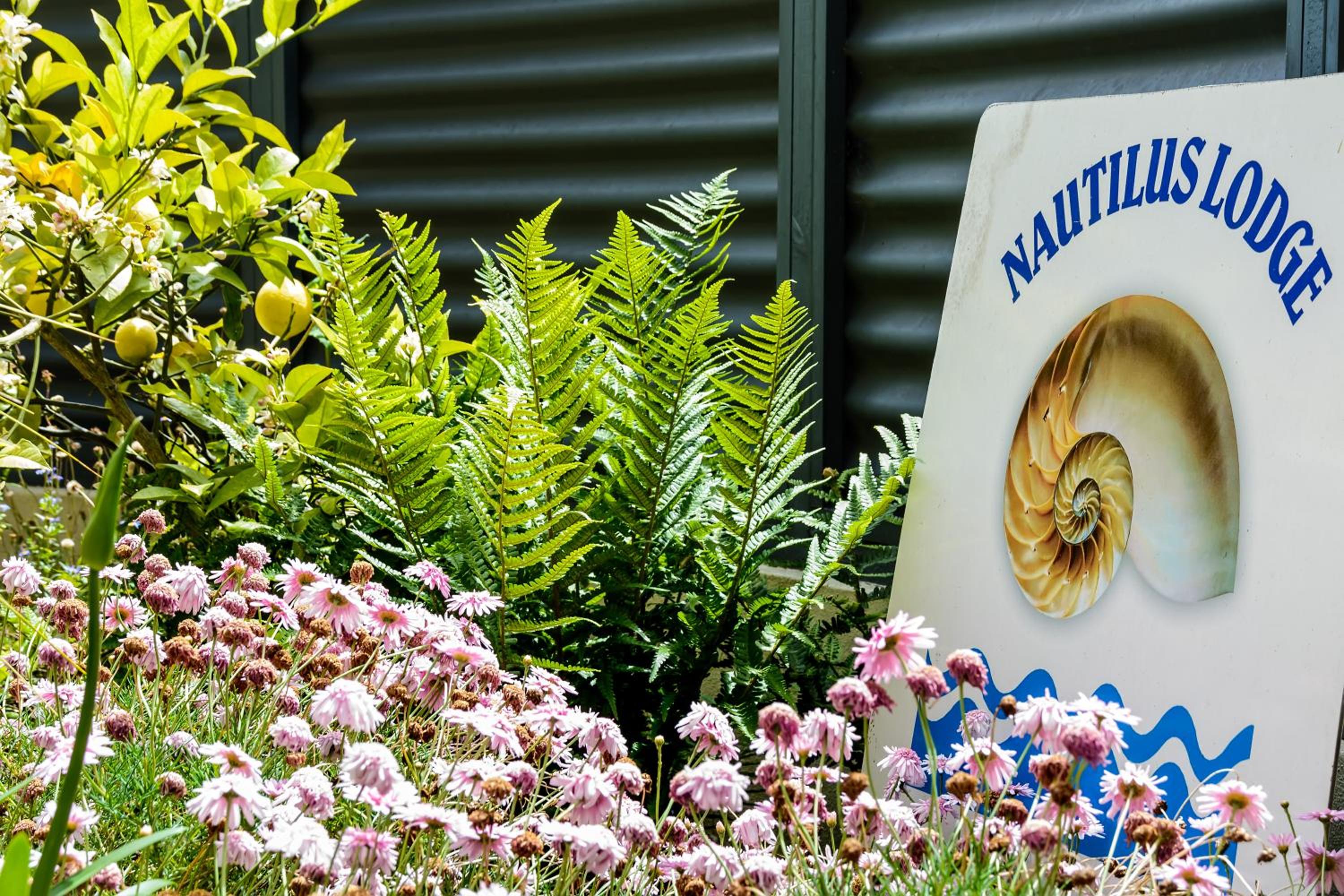 ASURE Nautilus Lodge Motel