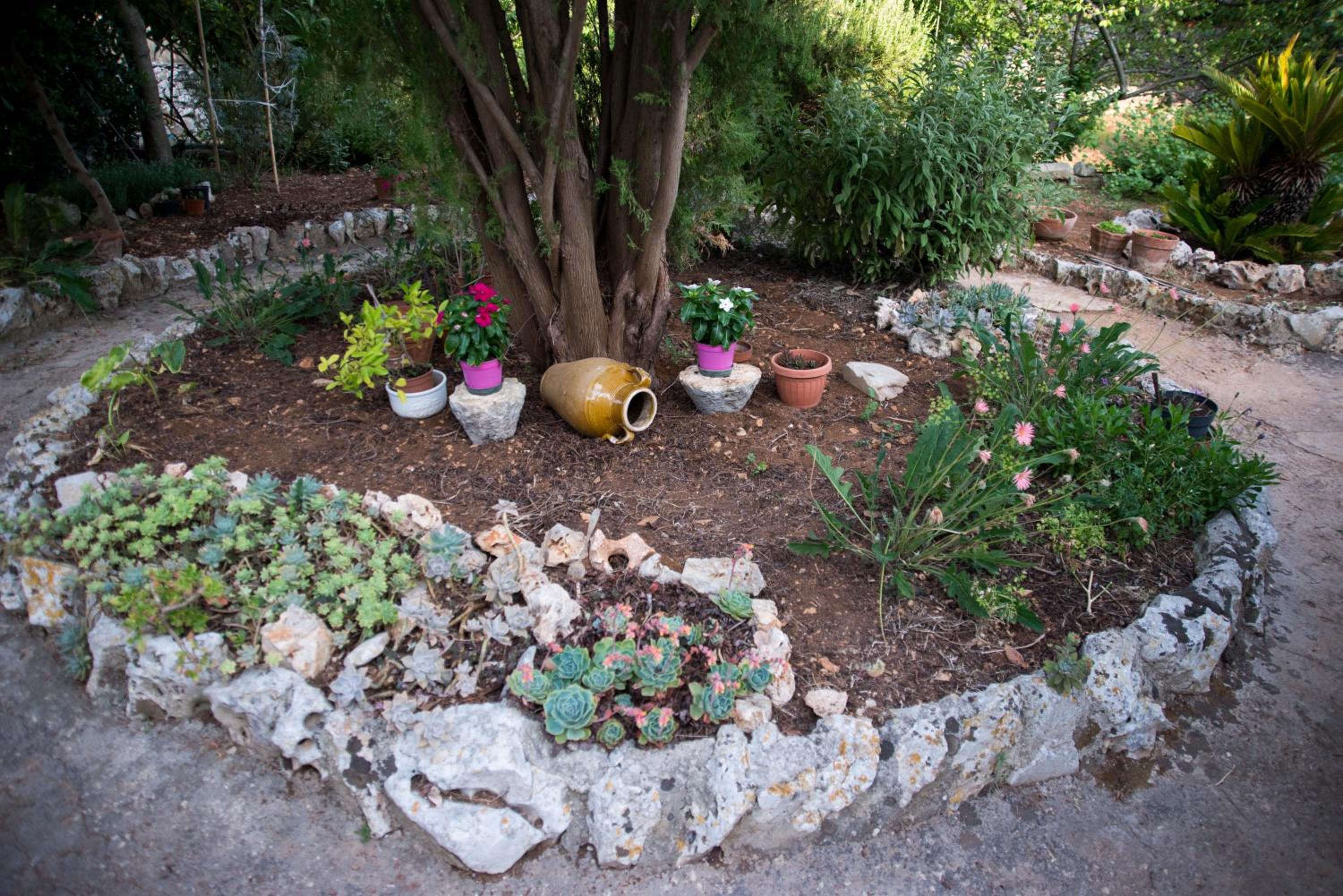 Photo 25
