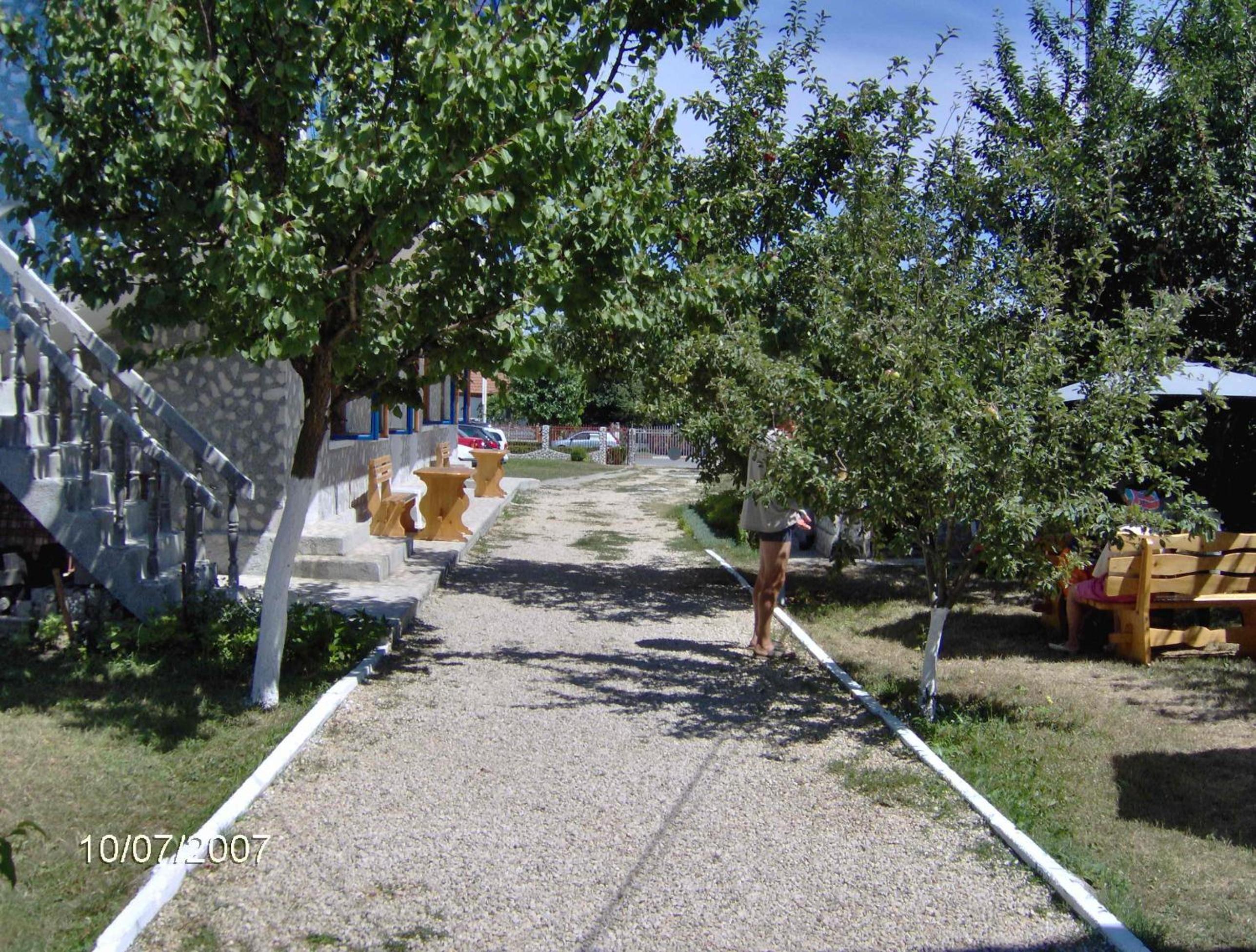 Photo 40