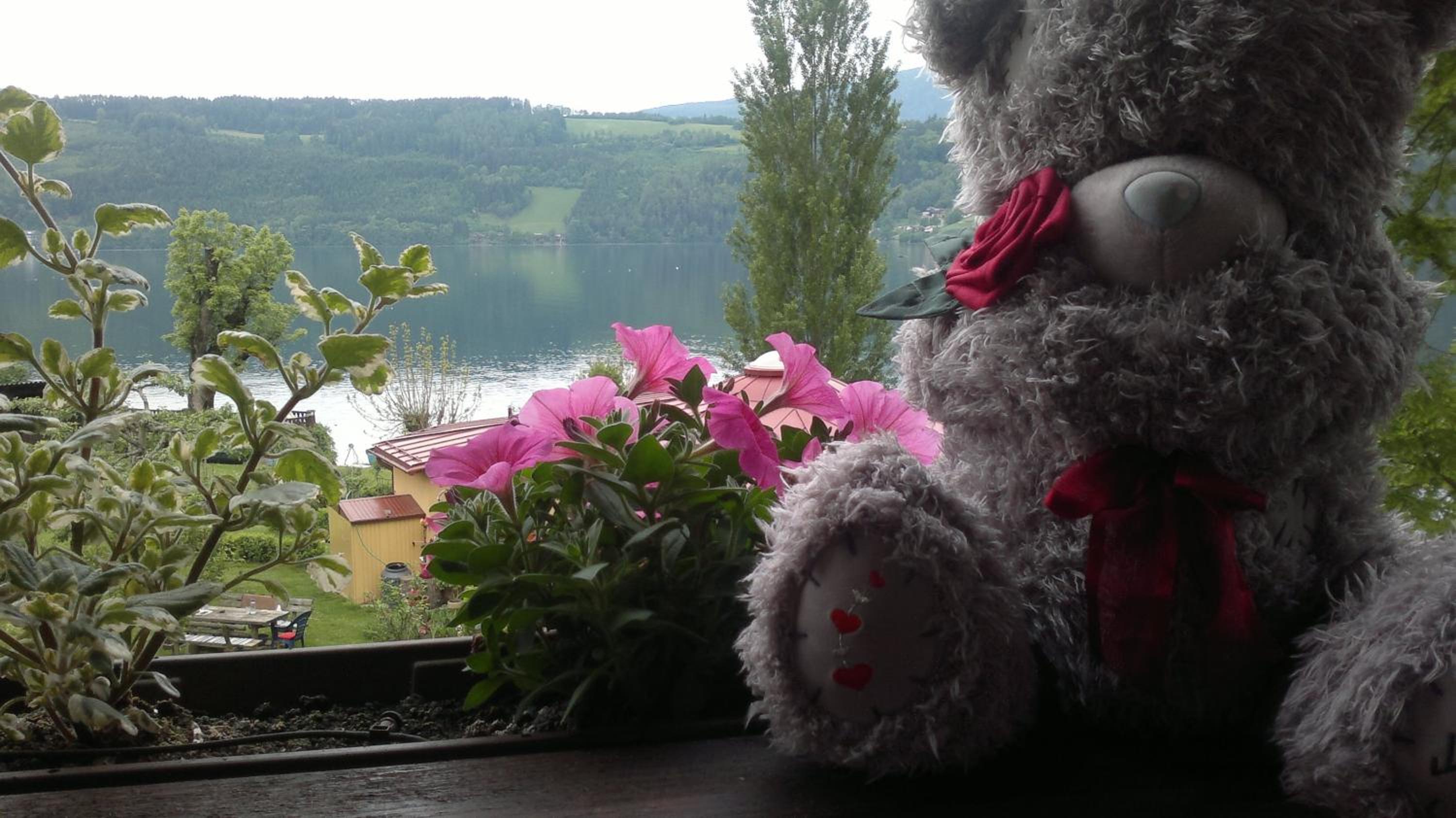 Ferienwohnungen Fischerhaus - direkt am See