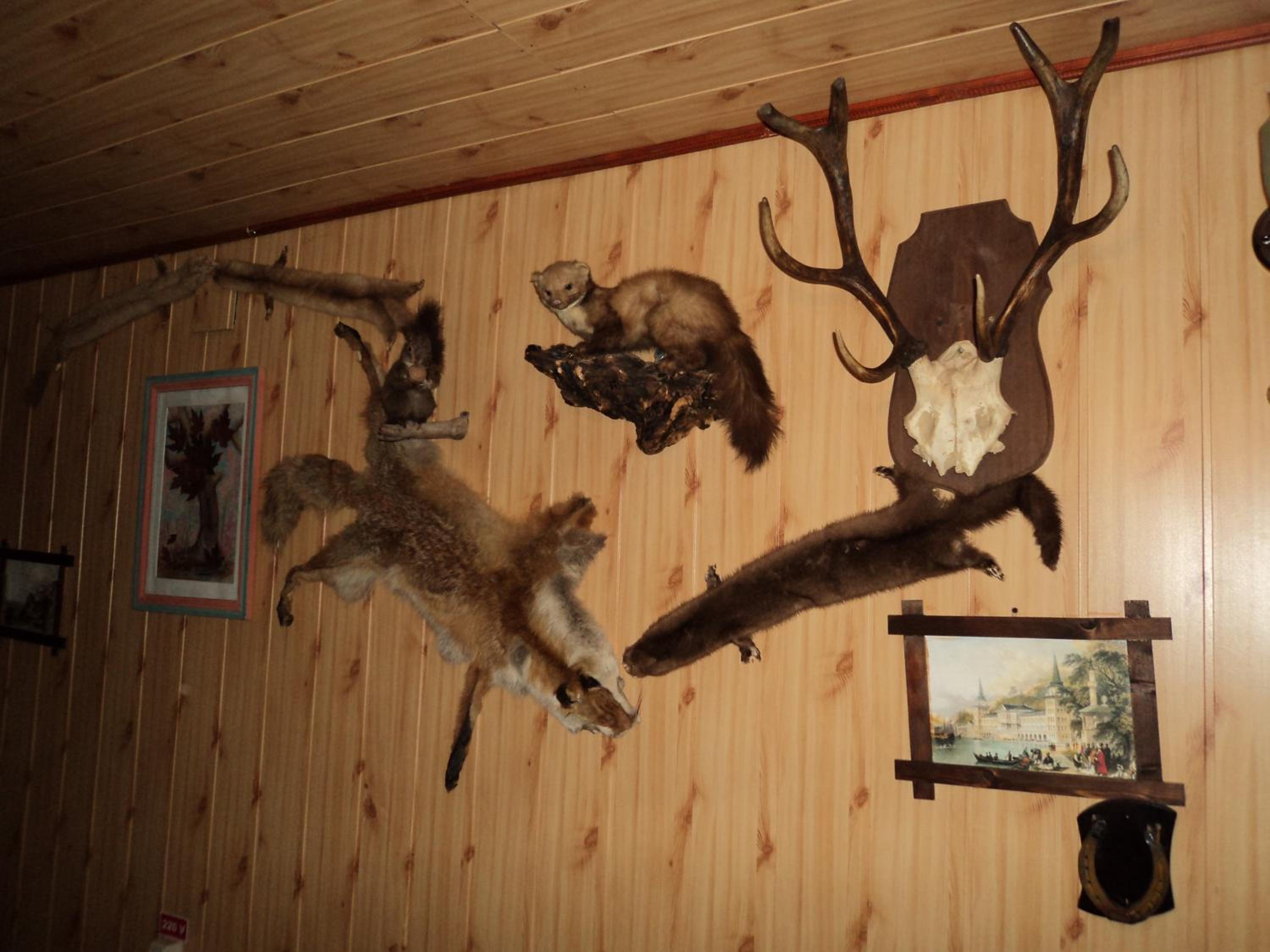 Photo 43