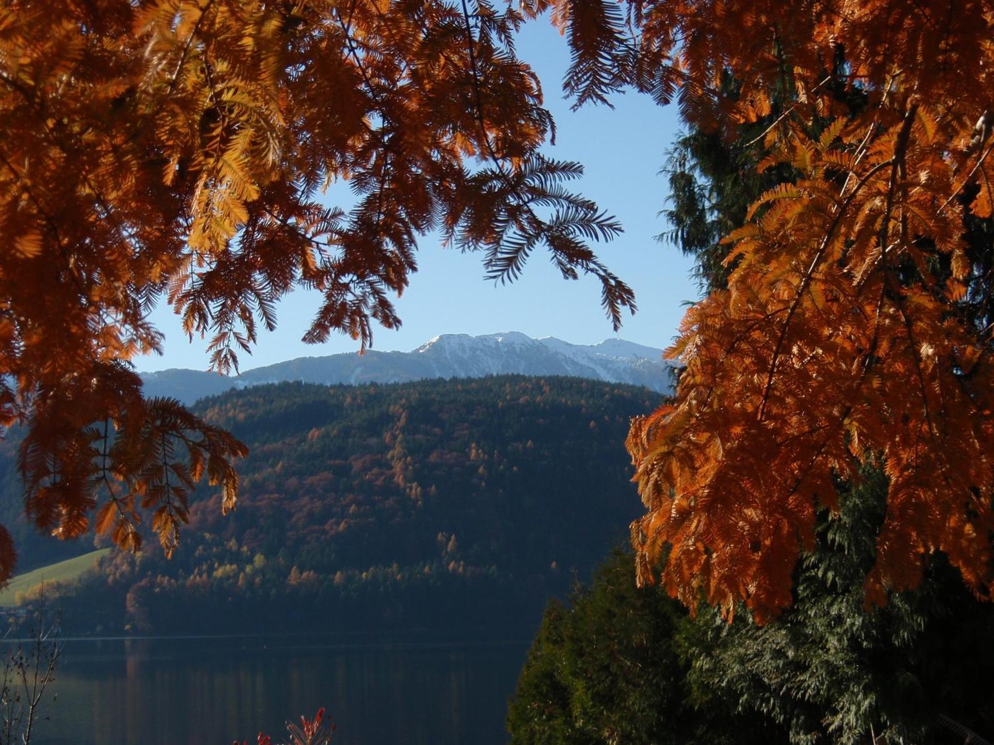 Ferienwohnungen Fischerhaus - direkt am See