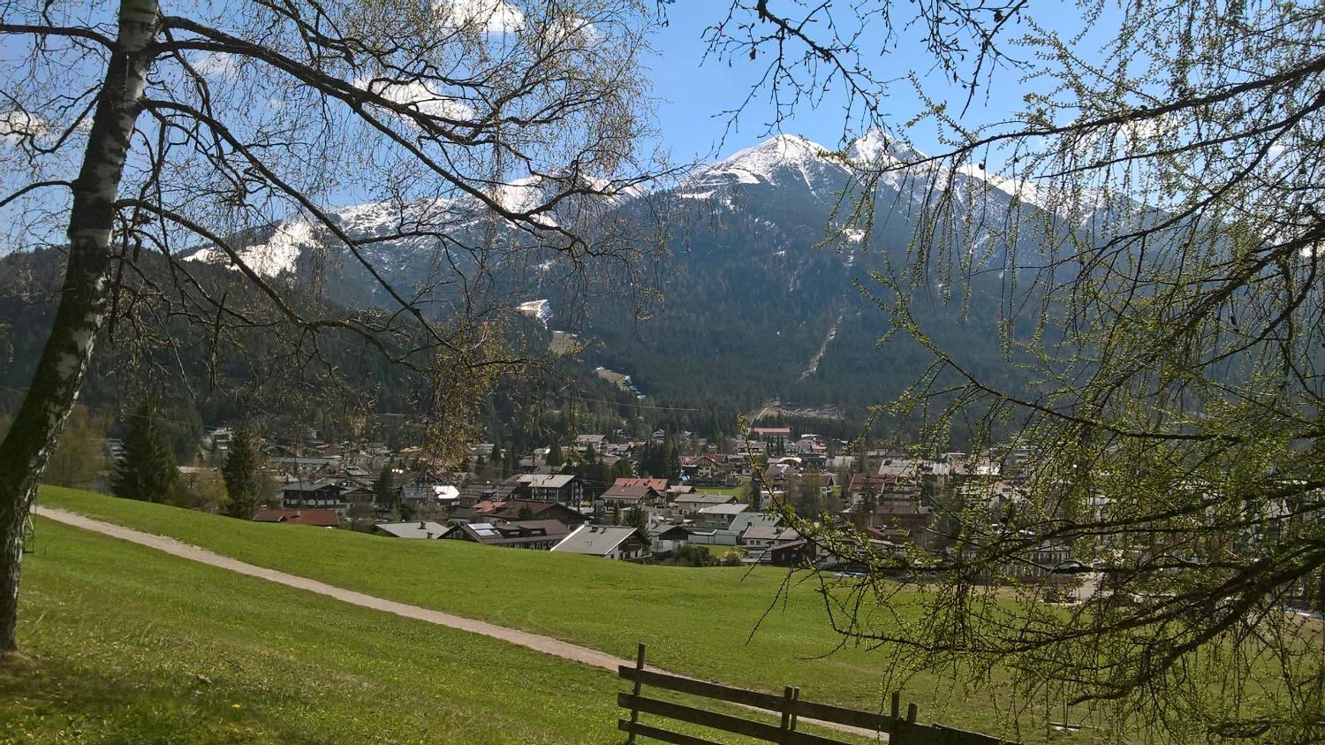 Haus Elisengrund am Geigenbuehel - chalet privé