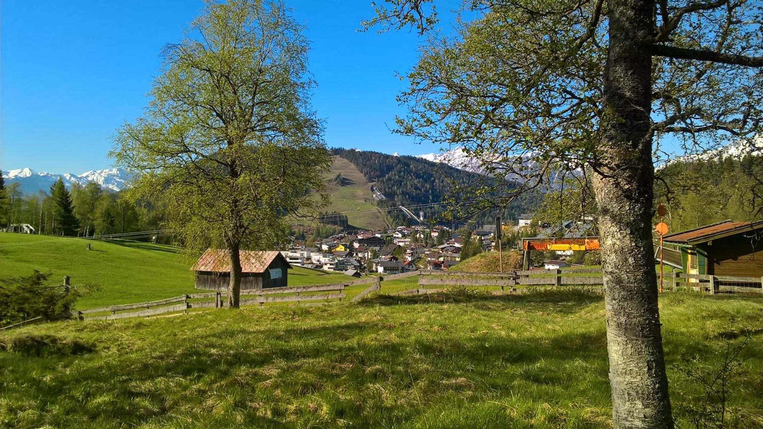 Haus Elisengrund am Geigenbuehel - chalet privé