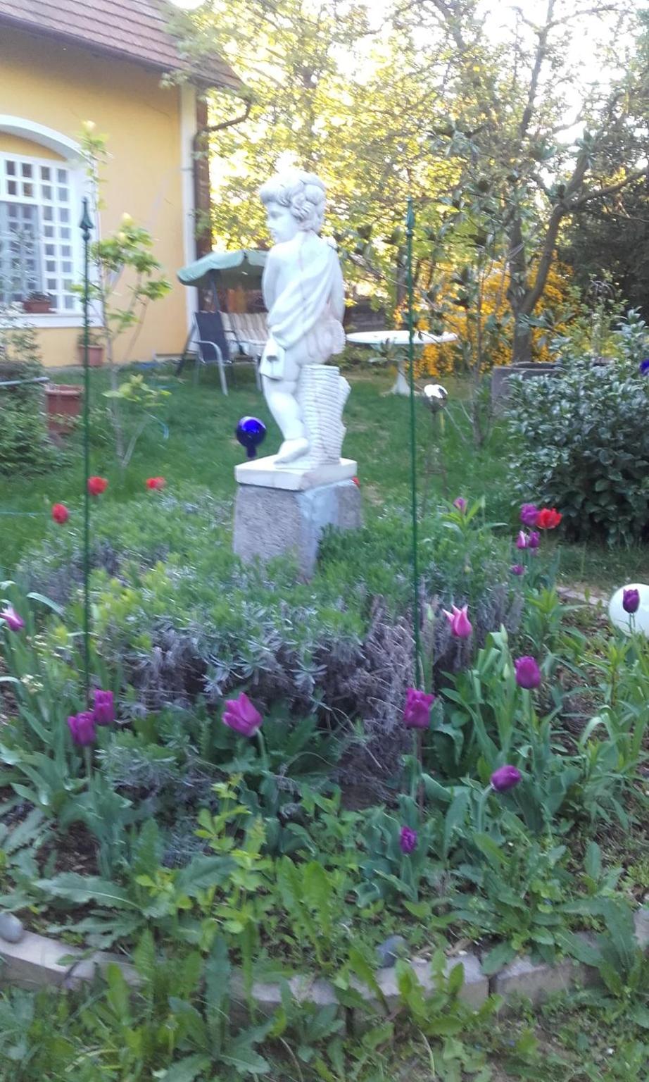 Photo 67