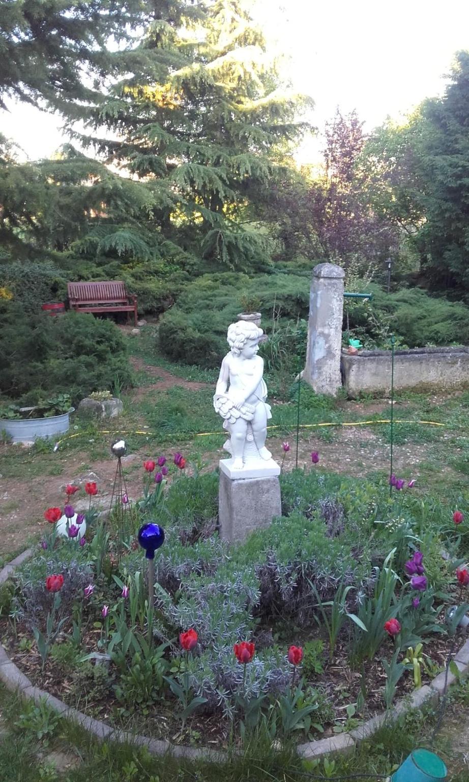 Photo 66