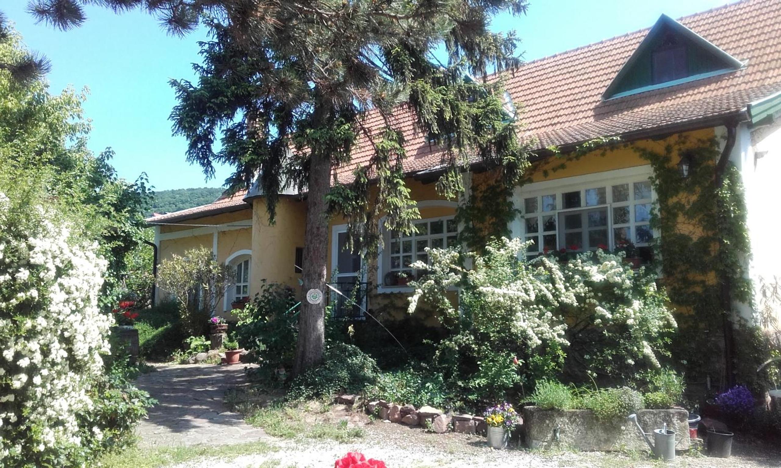 Photo 62