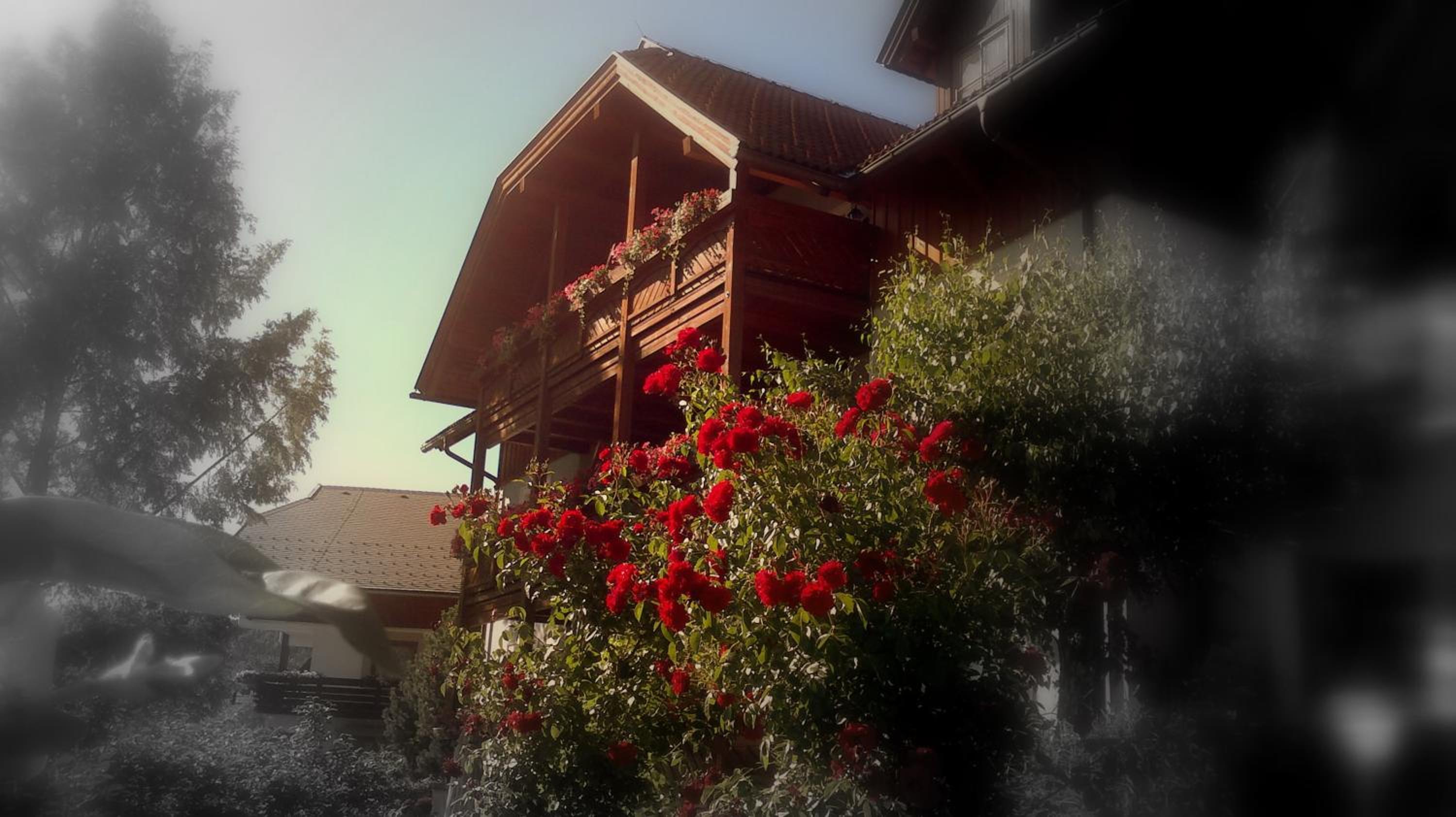 Ferienwohnungen Fischerhaus - direkt am See