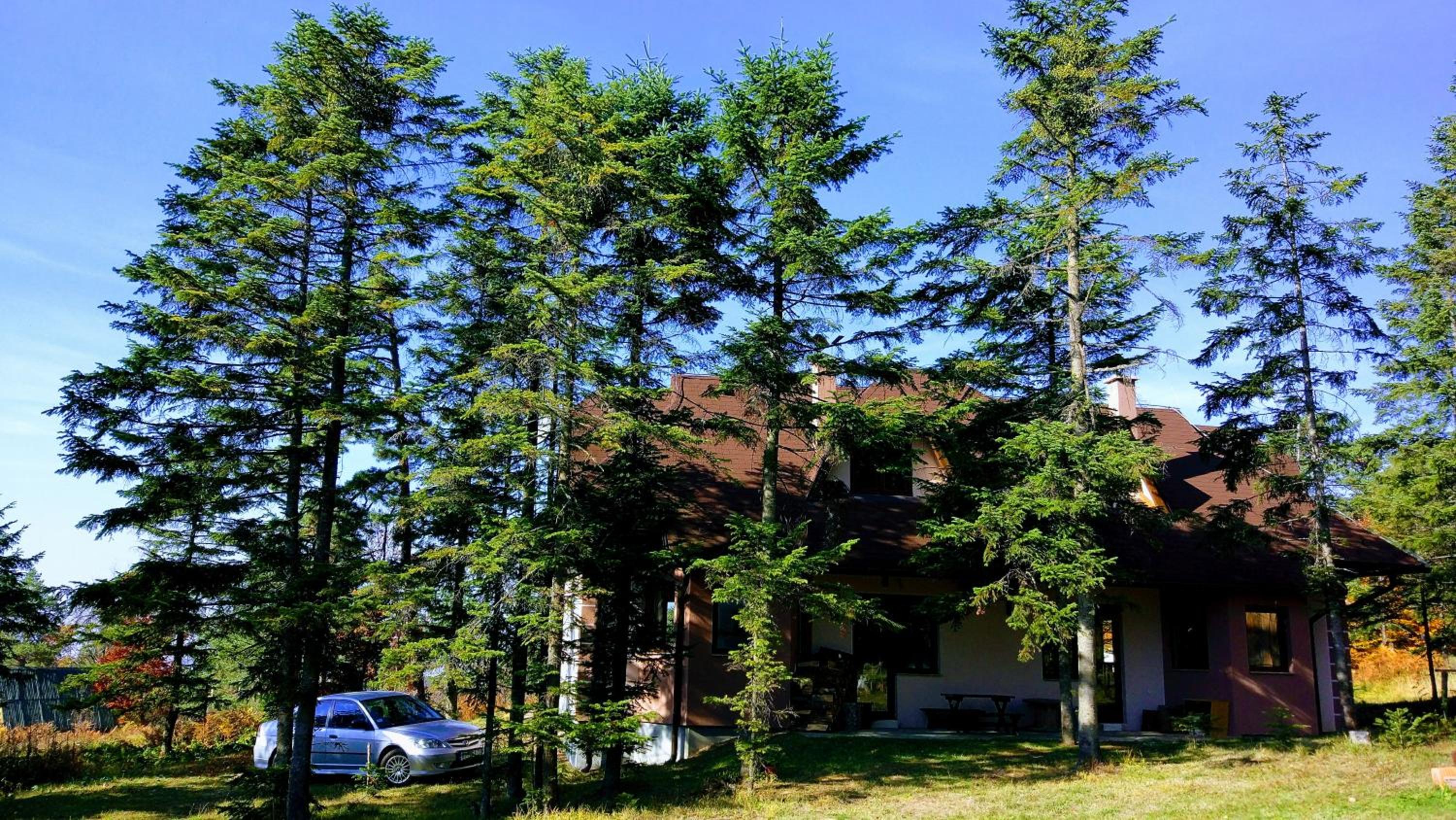 Kuća u prirodi view 3