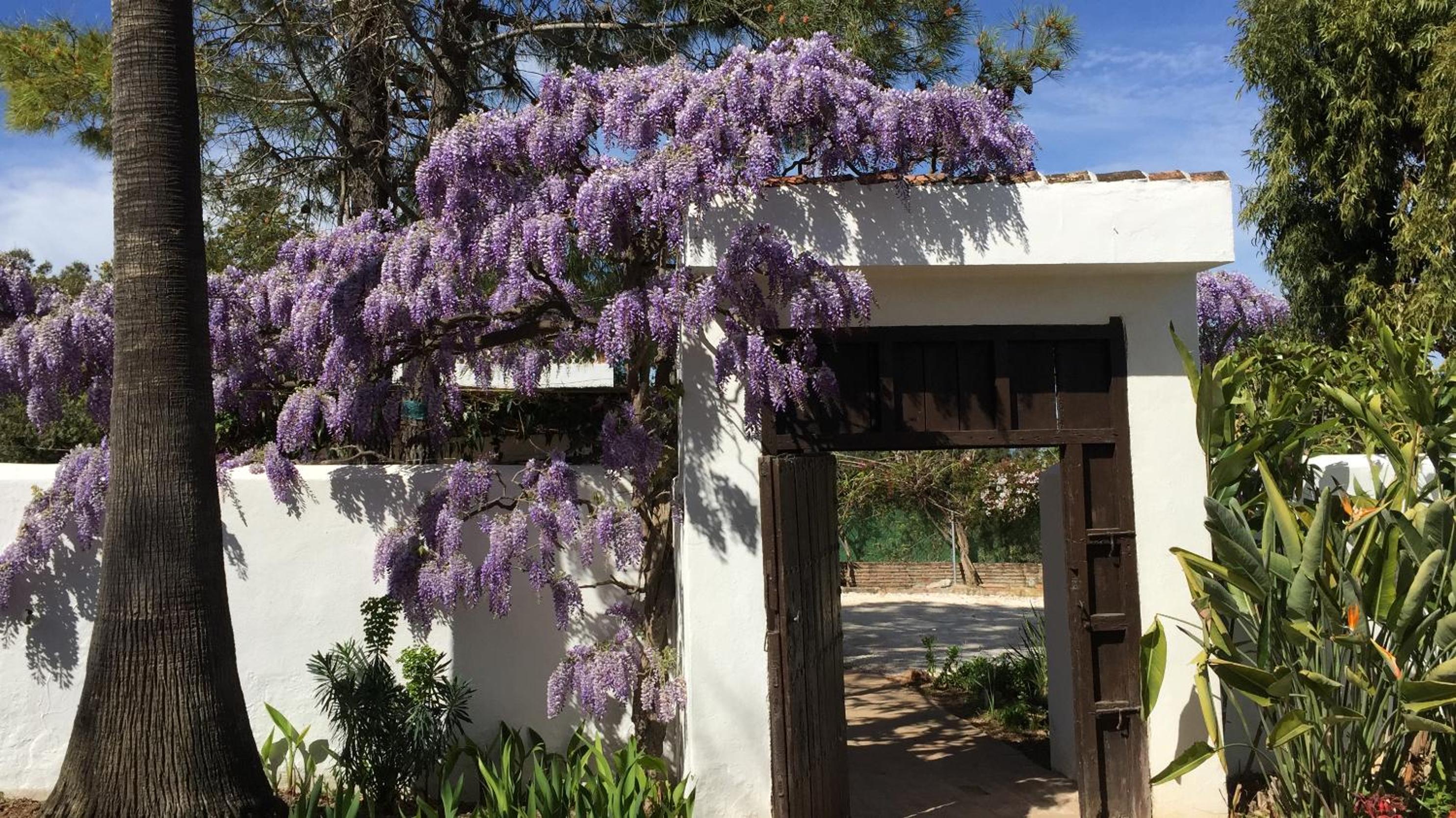Roca Verde, Boutique Bed & Breakfast - Adults only