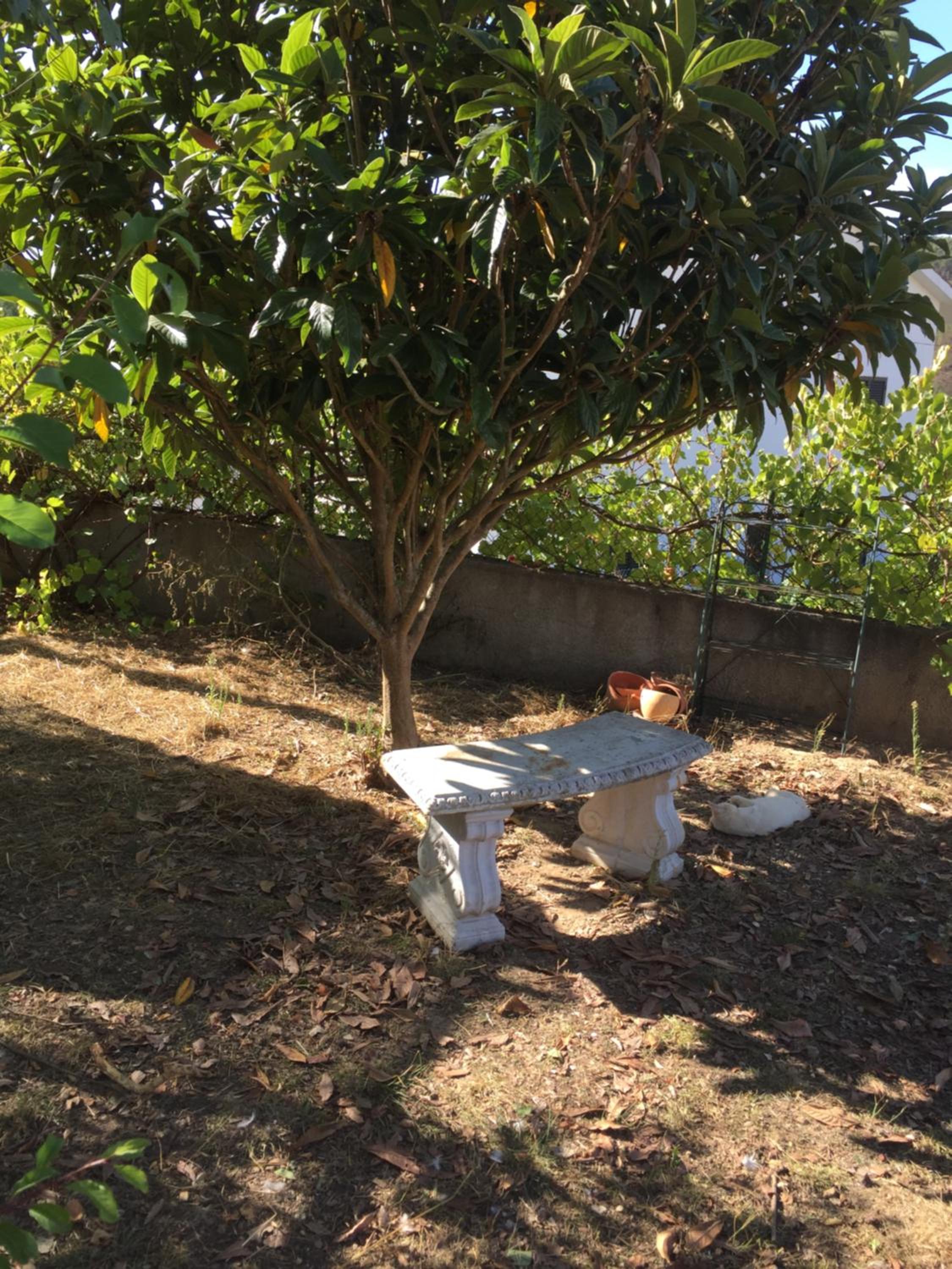Casa Traca, photo 21