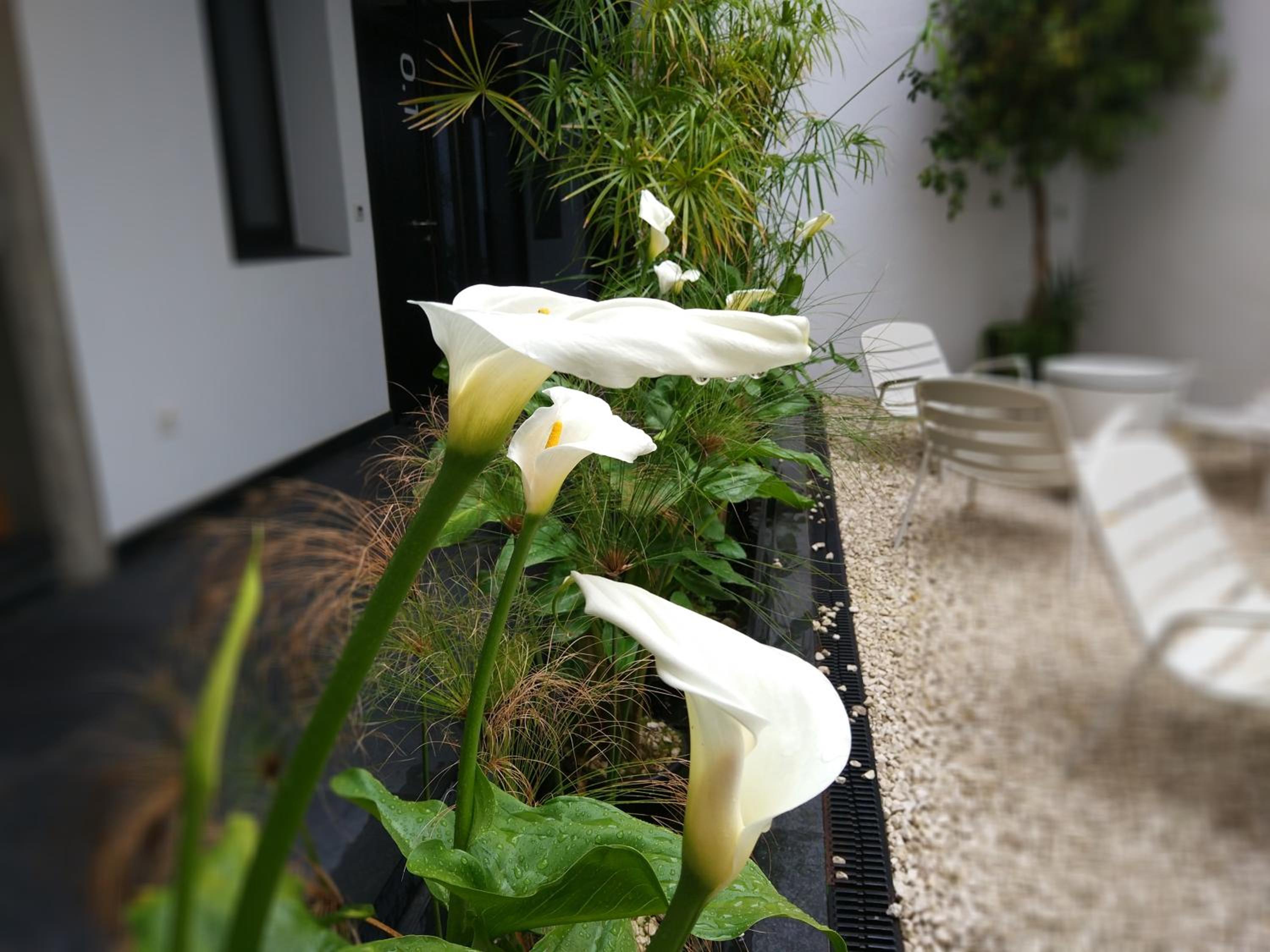 Apartamentos Córdoba Atrium
