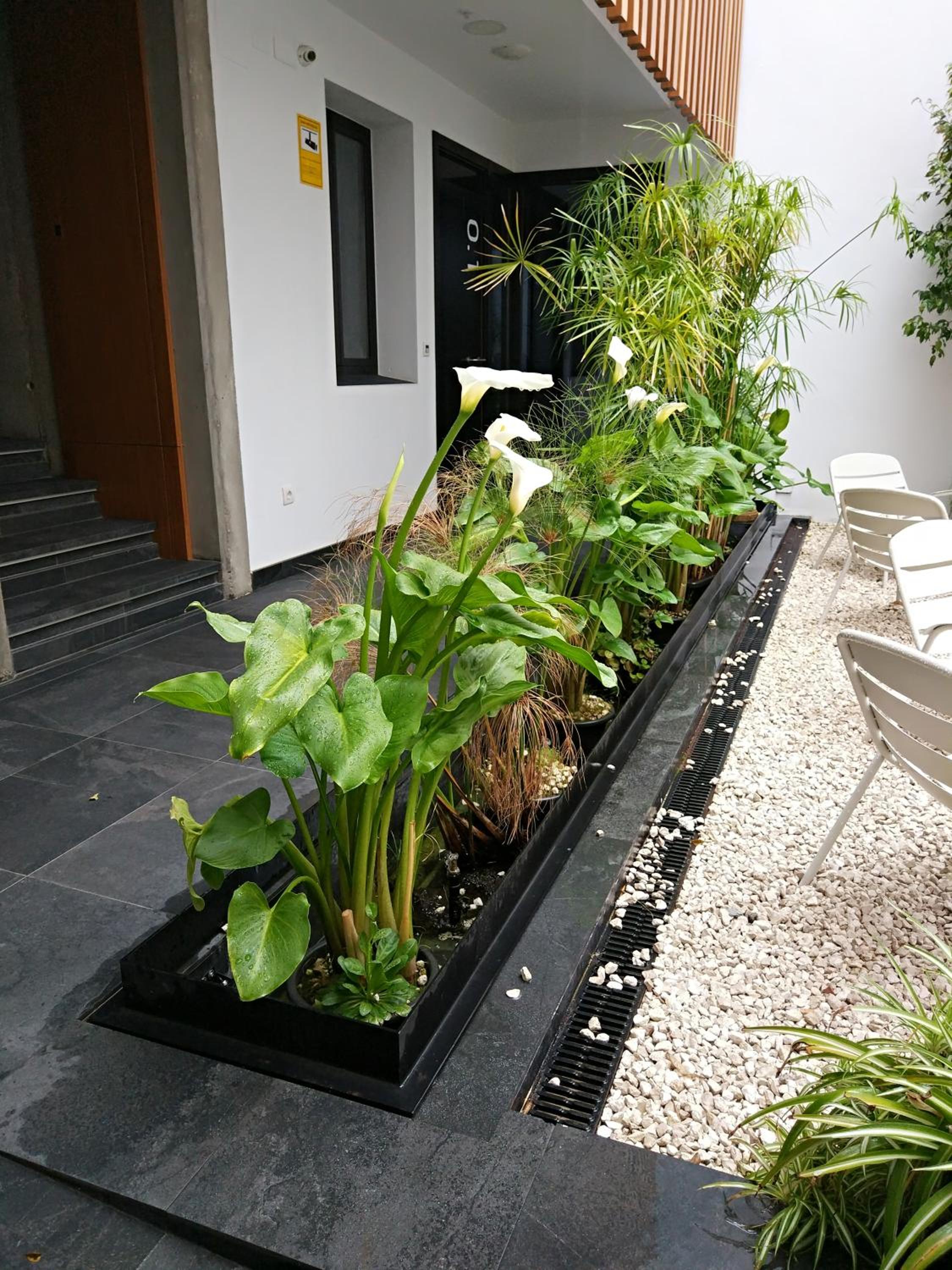 Apartamentos Córdoba Atrium