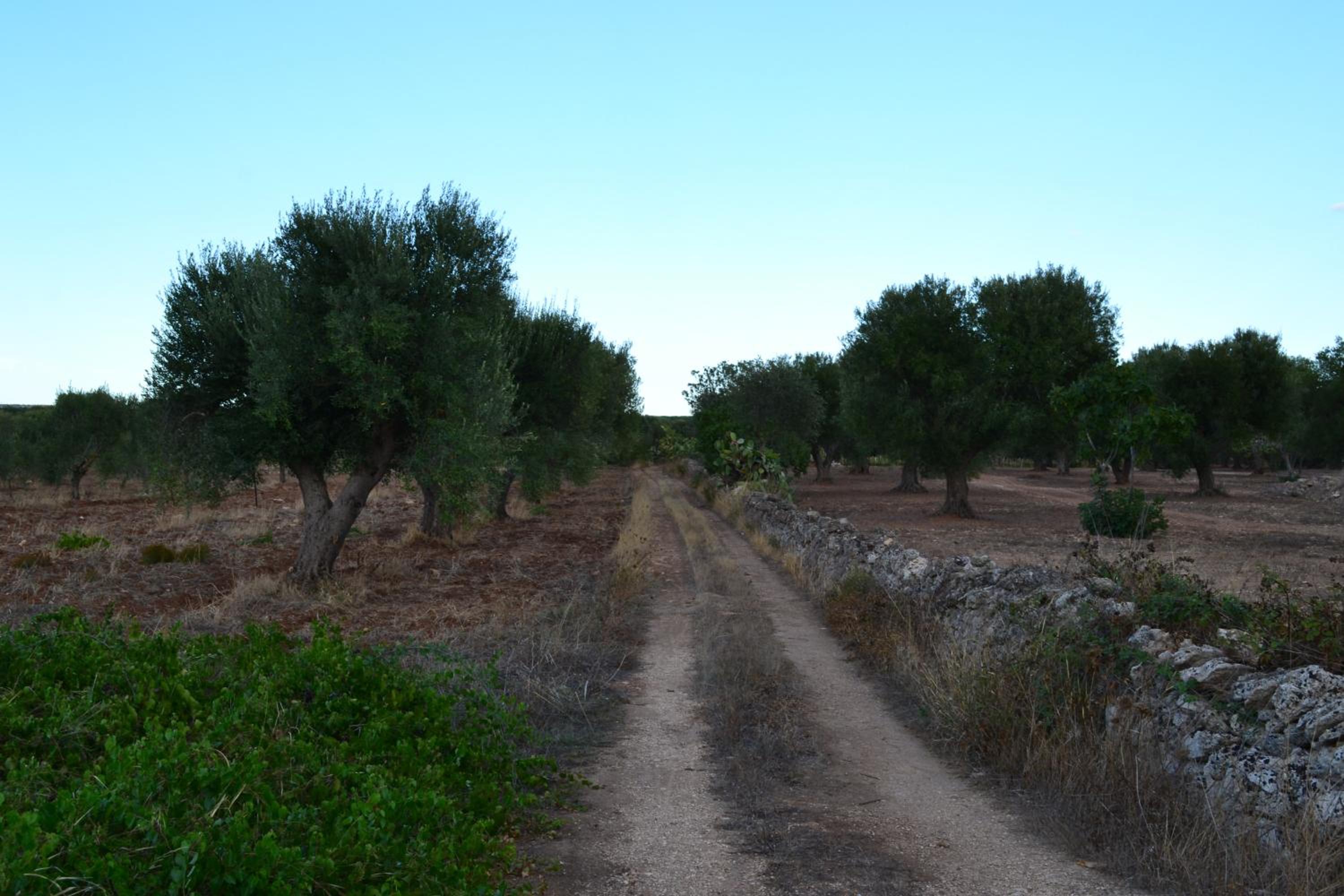 Le Terrazze B&B Manduria