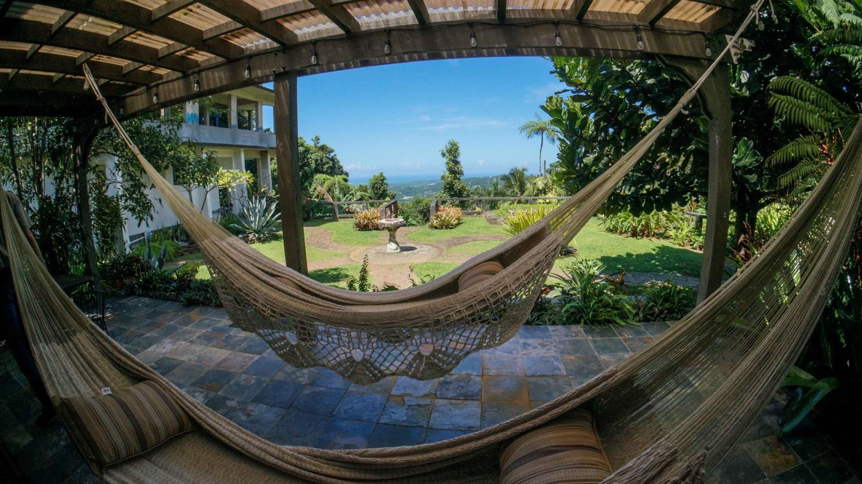 El Yunque Rainforest Inn - Property Image 3