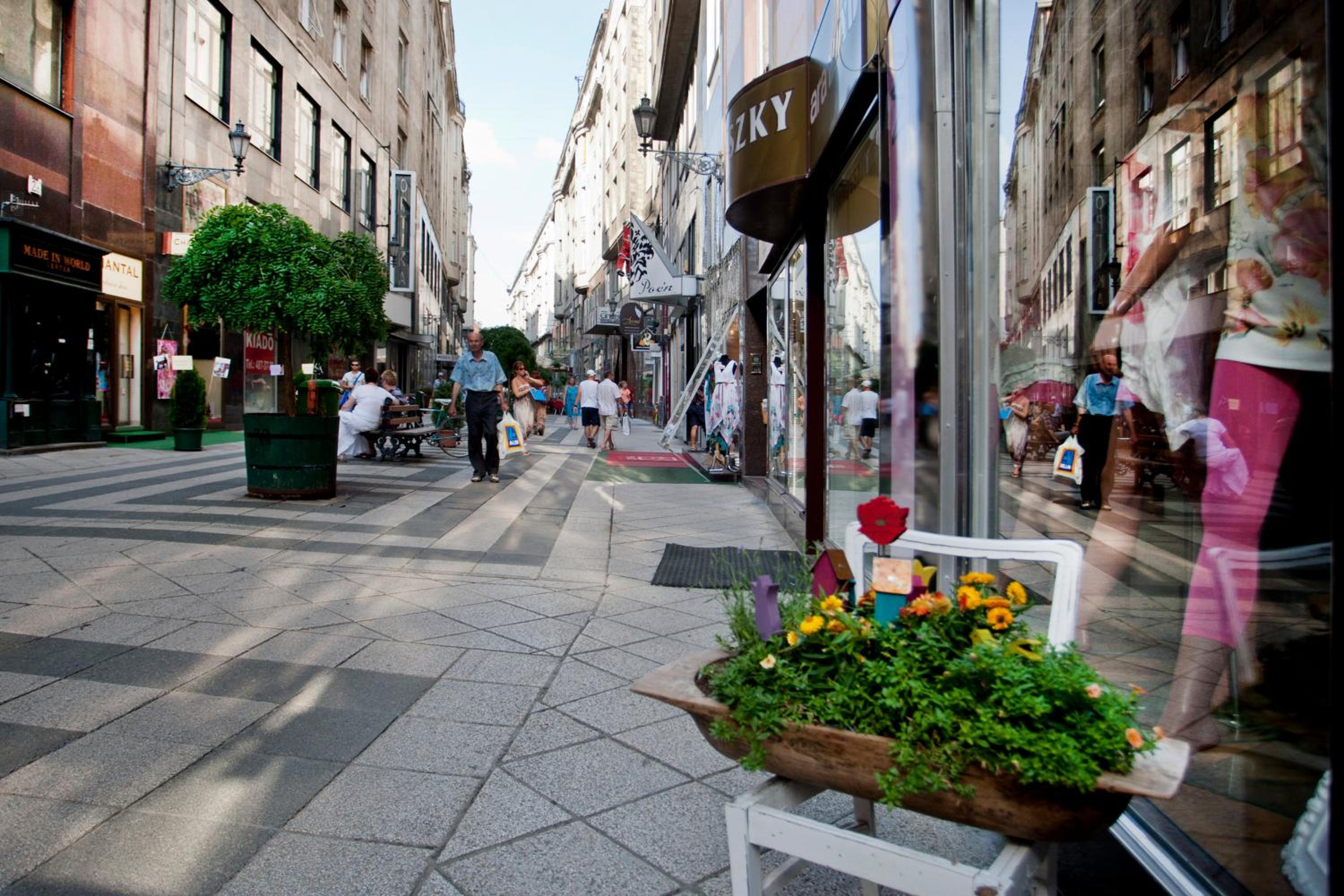 Viktoria Central Apartment