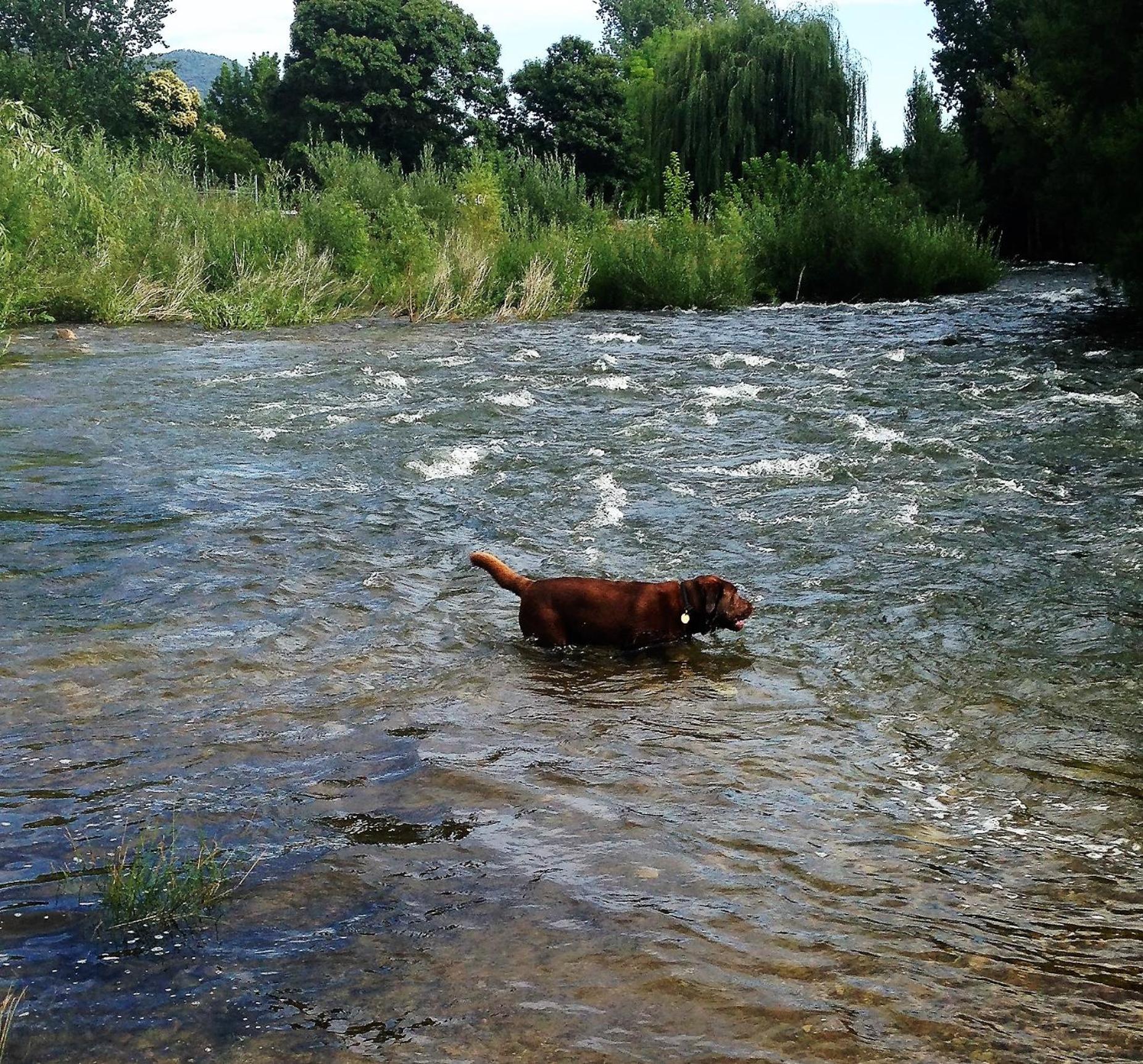 Photo 8