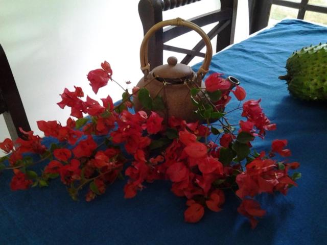 Photo 57