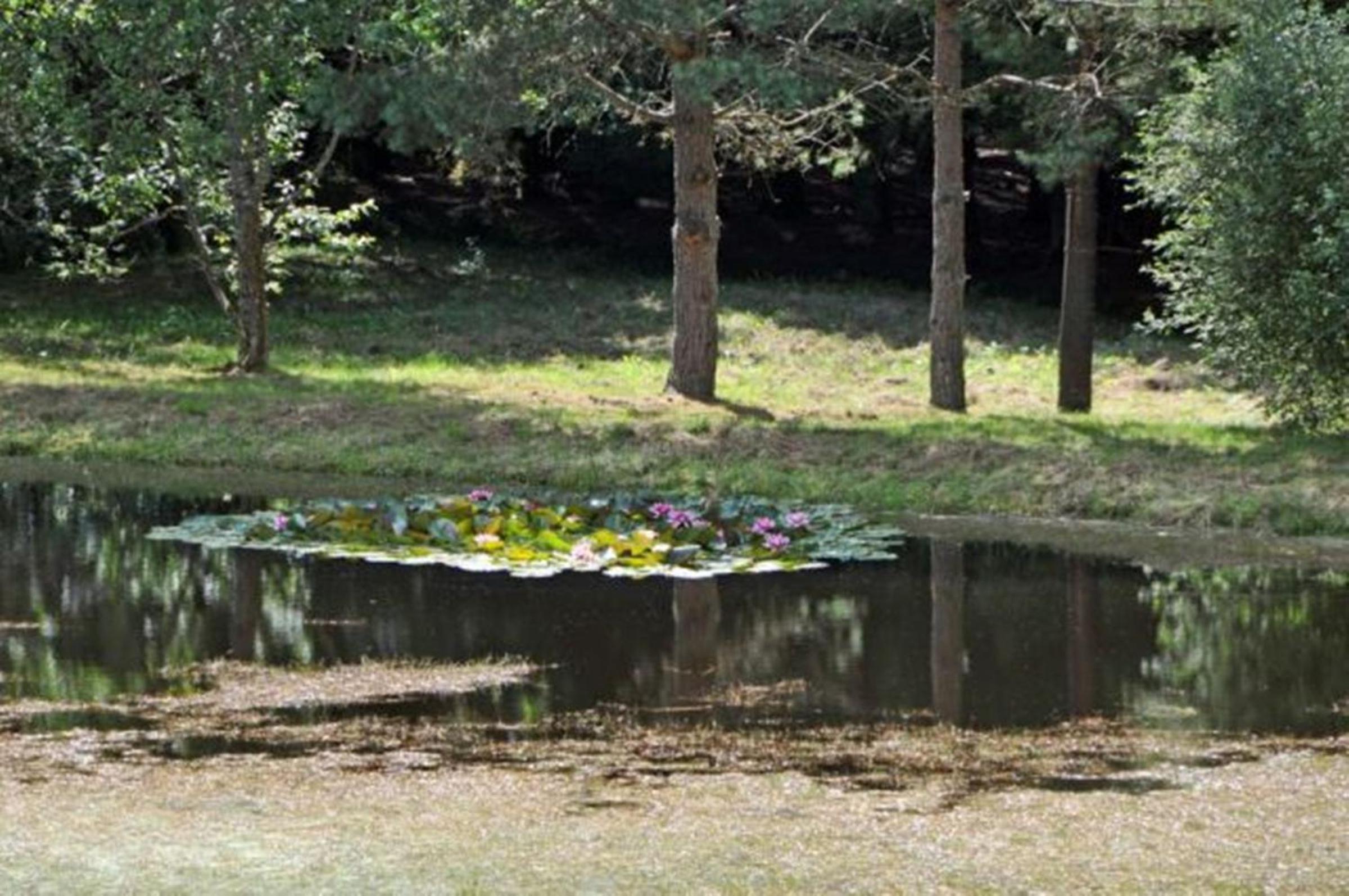 children's play area