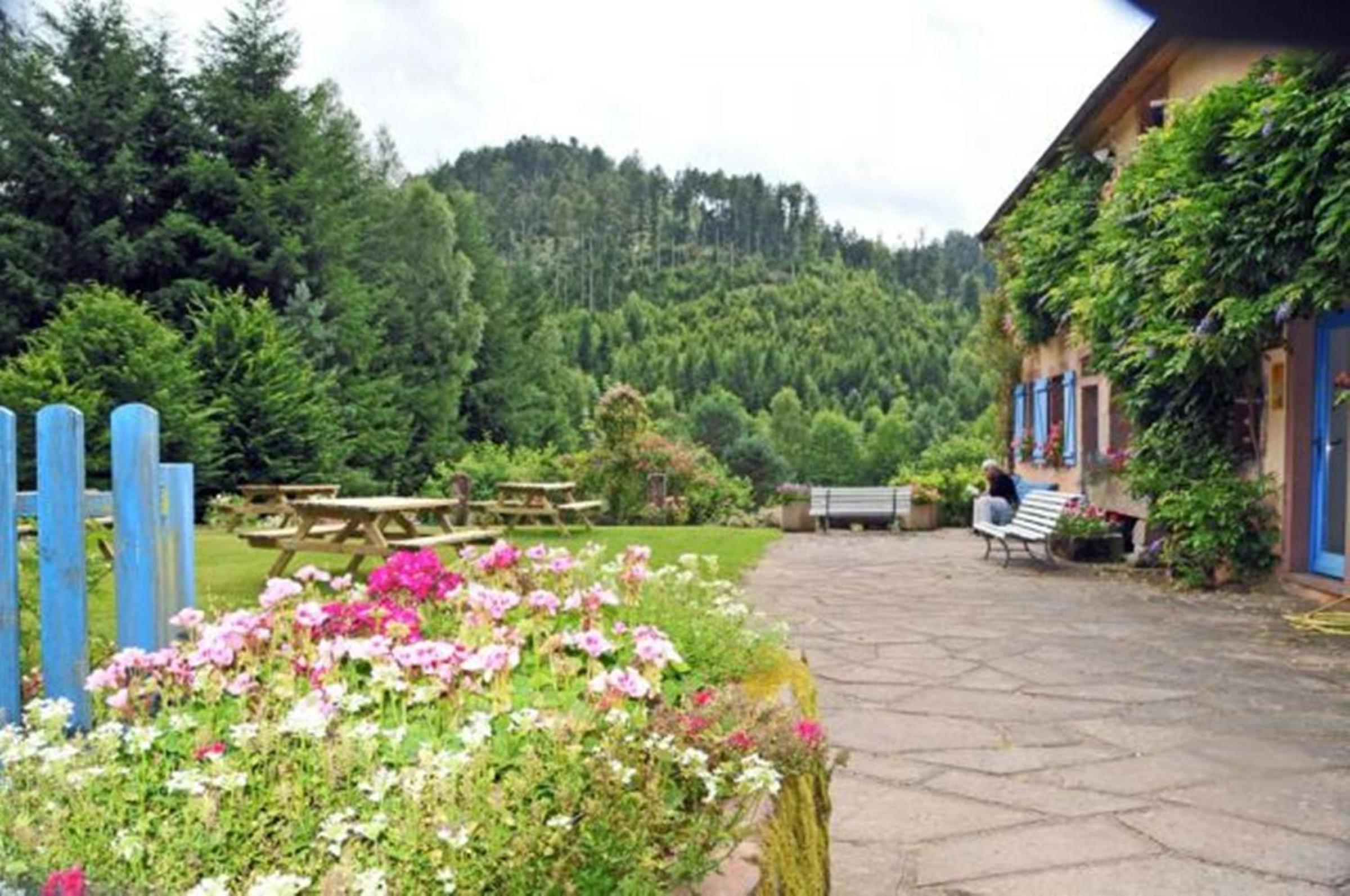 garden