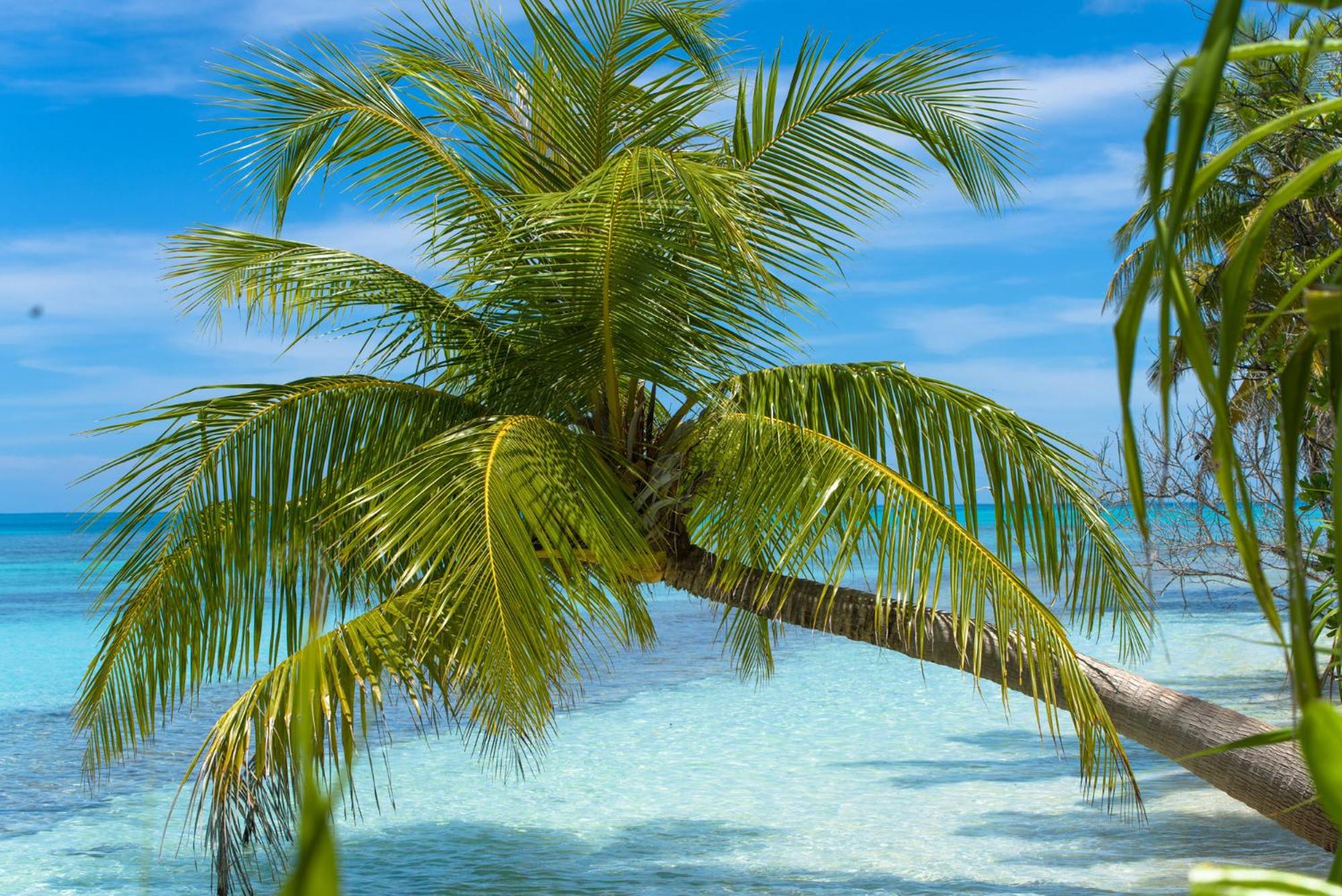 Dhiguveli Maldives