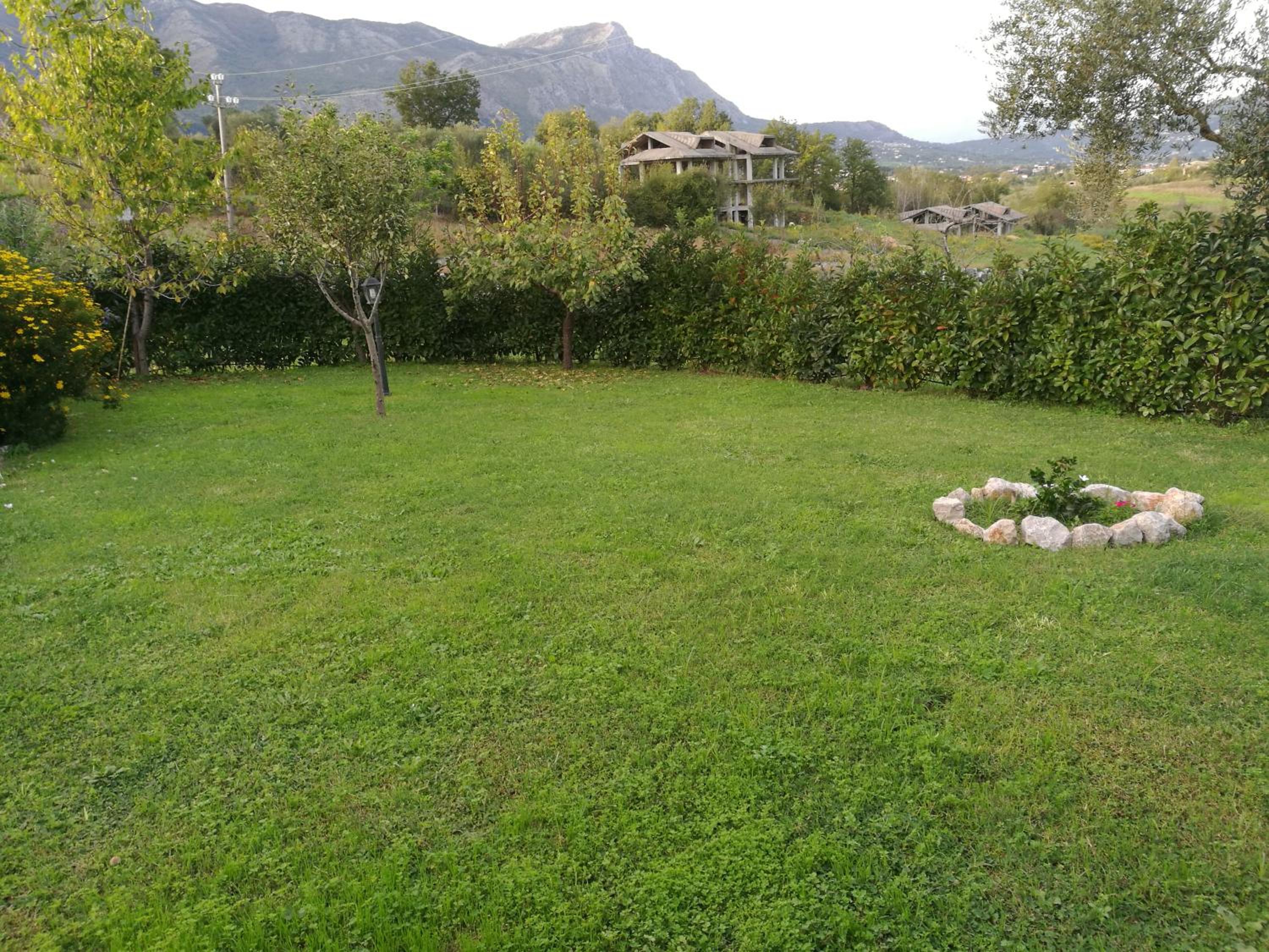 Photo 22